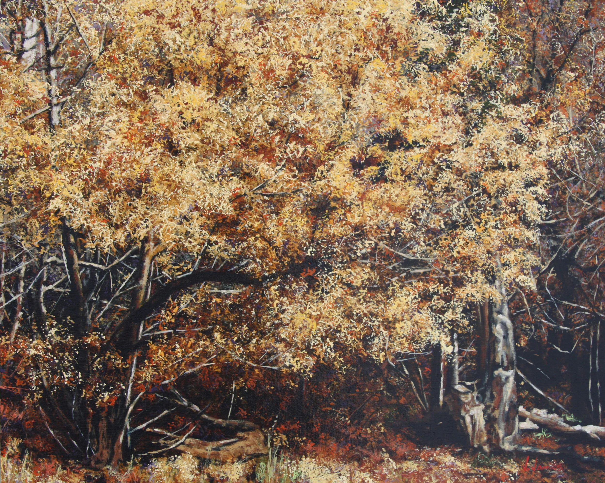 All Good Things, 16" x 20" Oil on Linen