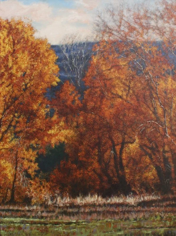 Preserve, 30" x 24" Oil on Canvas