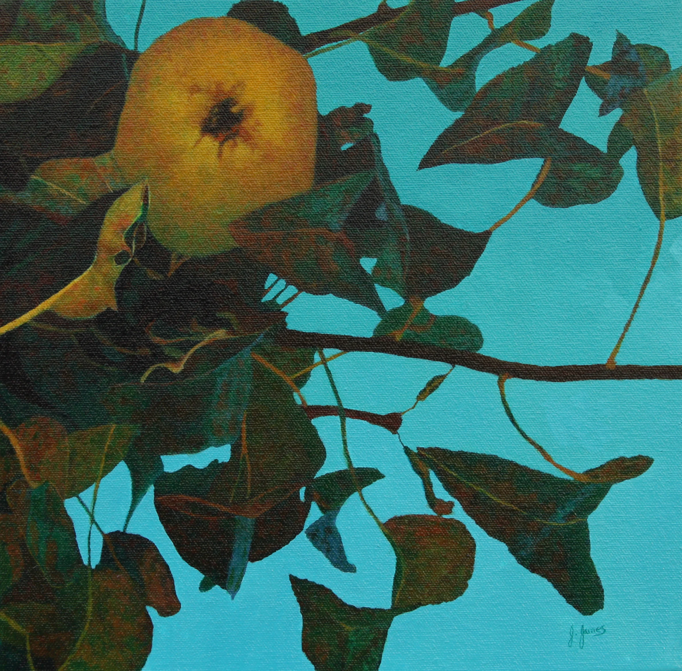 The Perfect Fruit, 12" x 12" Oil on Canvas