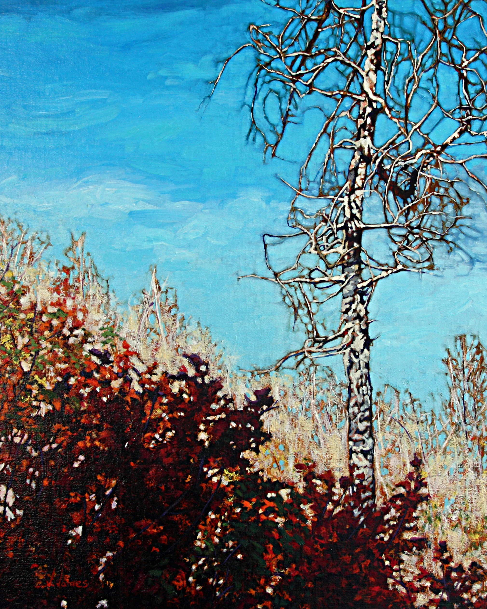 Helping Hans, 20" x 16" Oil on Canvas