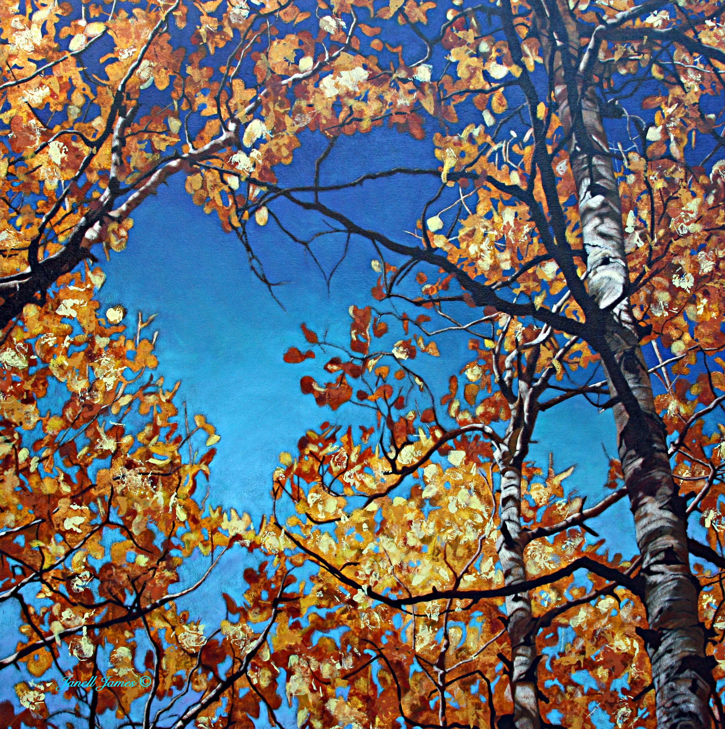 Sky Lace, 48" x 48" Oil on Canvas