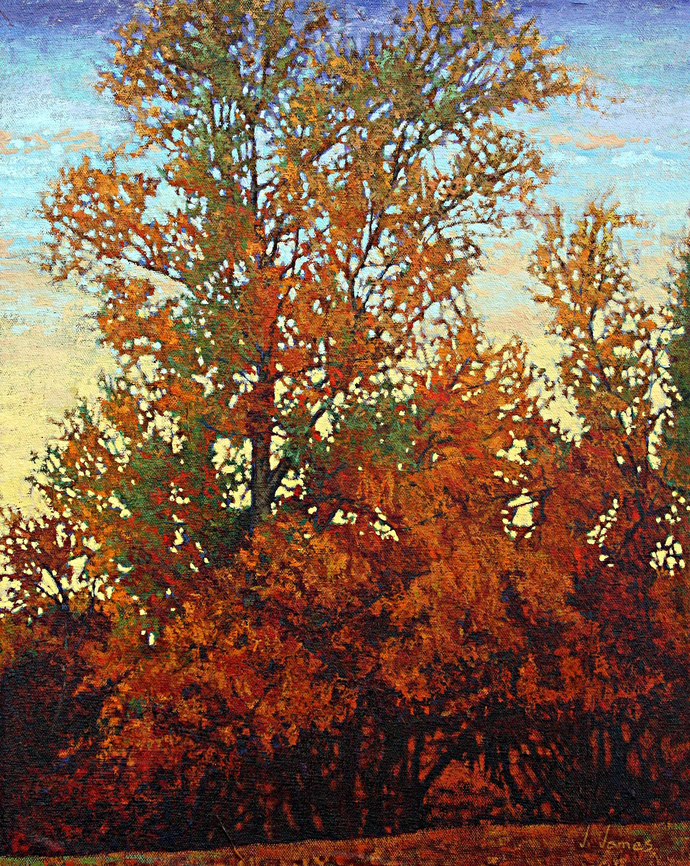Br'ers' Passage, 20" x 16" Oil on Canvas