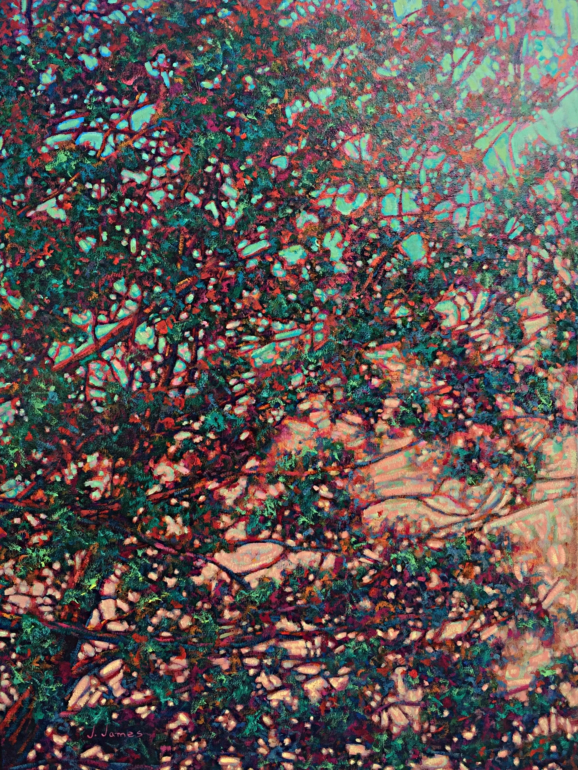 Desert Color, 40" x 30" Oil on Canvas