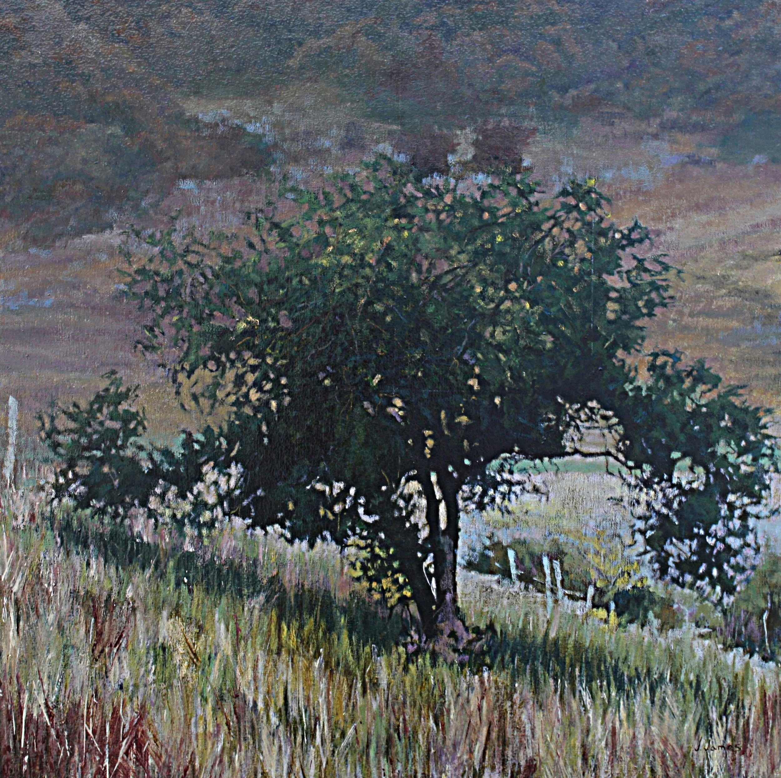 Tried and True, 30" x 30" Oil on Canvas