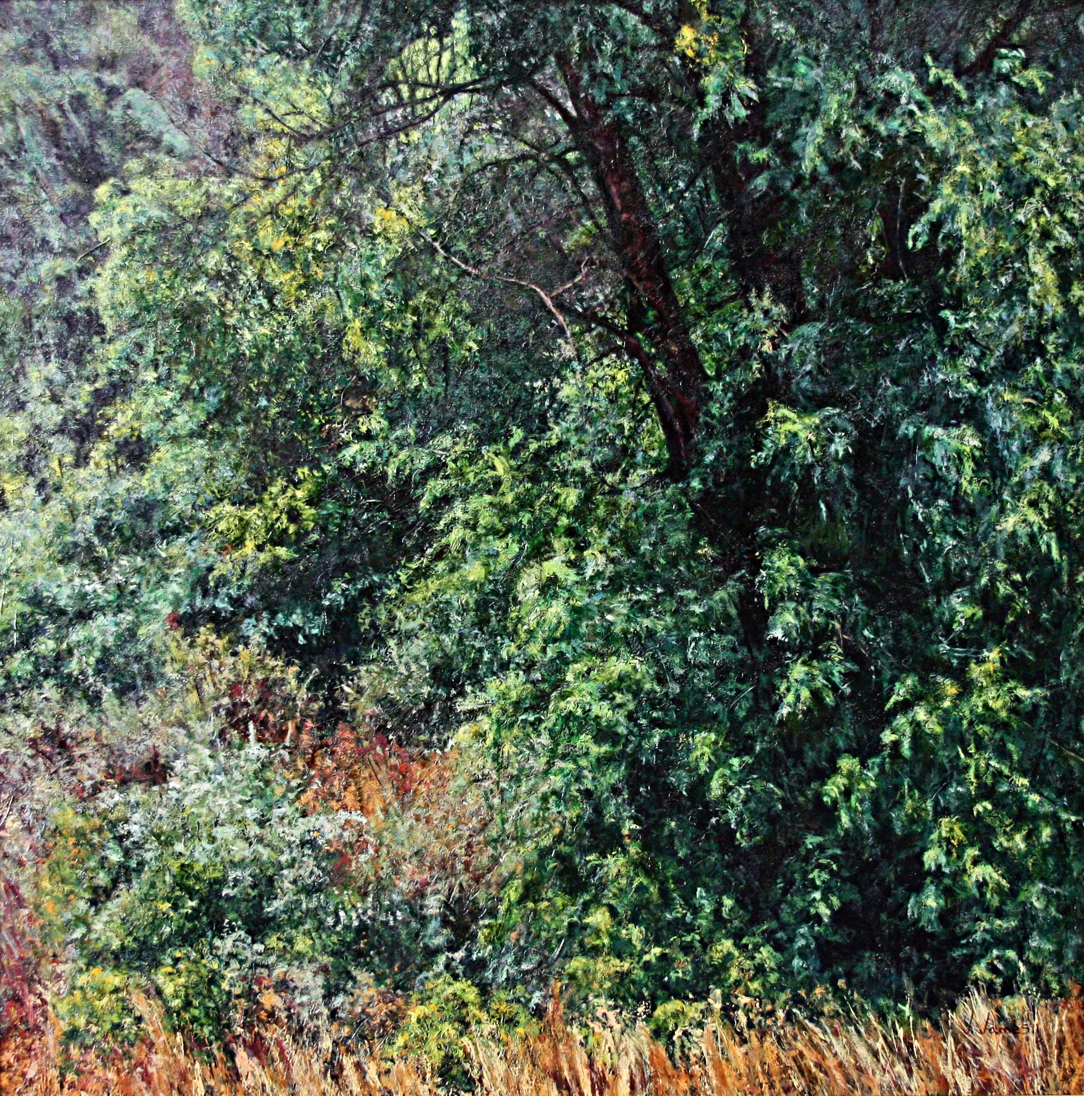 After a Sundance Storm, 30" x 30" Oil on Canvas