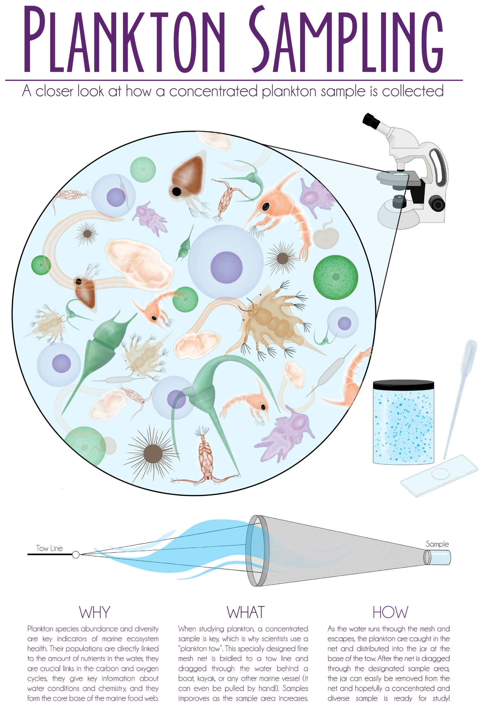 Plankton Sampling