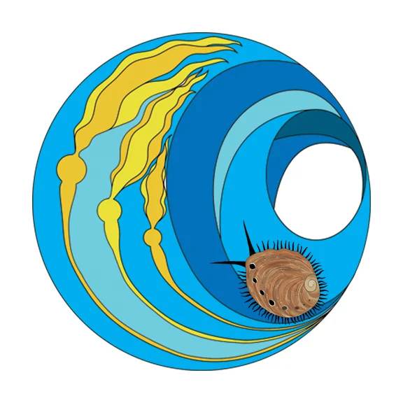 A logo designed for the Ocean Acidification lab at Stanford's Hopkins Marine Station, which pays particular attention to local Abalone populations and how acidification is affecting them. 