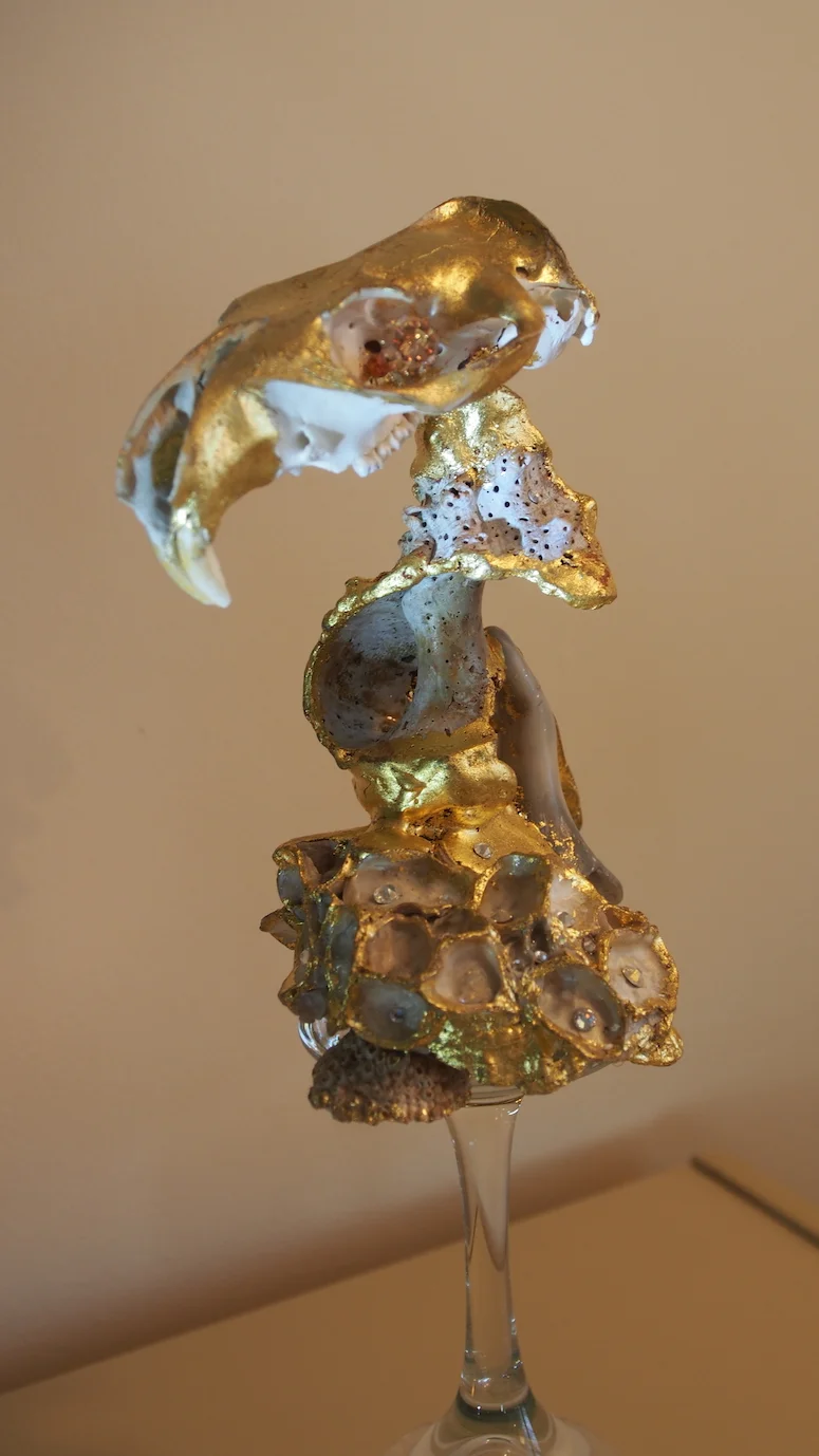 "Aquatic Cluster Skull" (Cephalic Index)