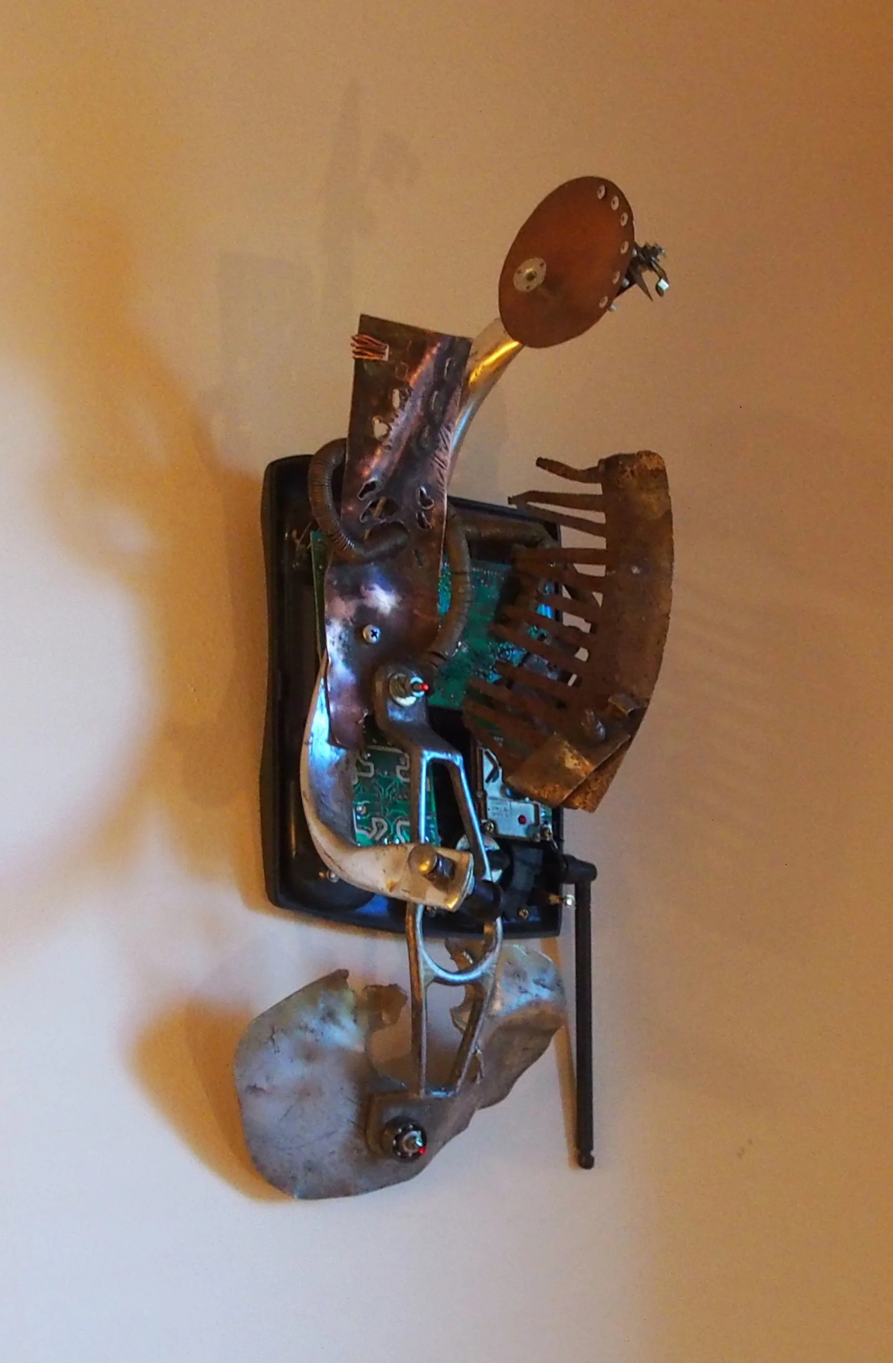 instrumentalist 25 copy 2.JPG