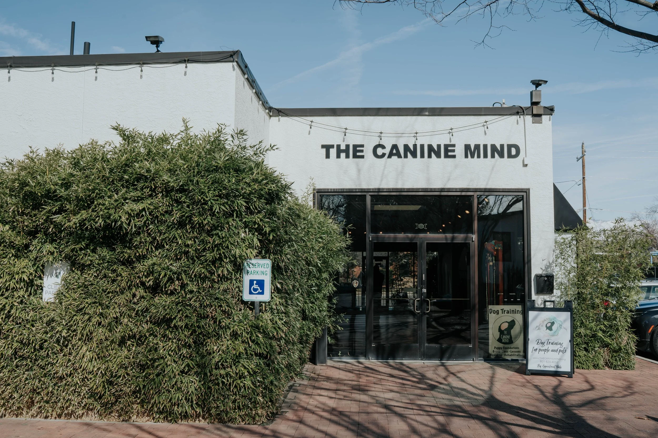 TheCanineMind229.jpg