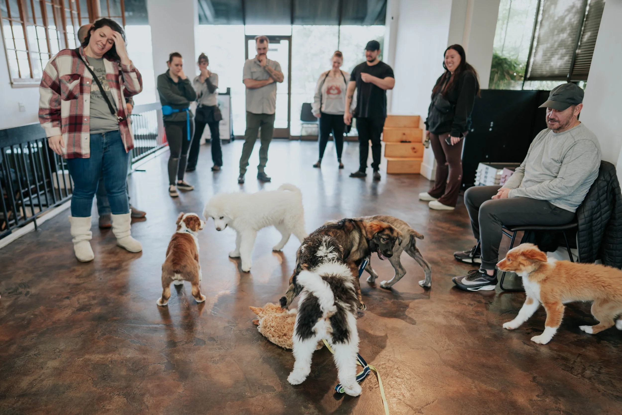 TheCanineMind082.jpg