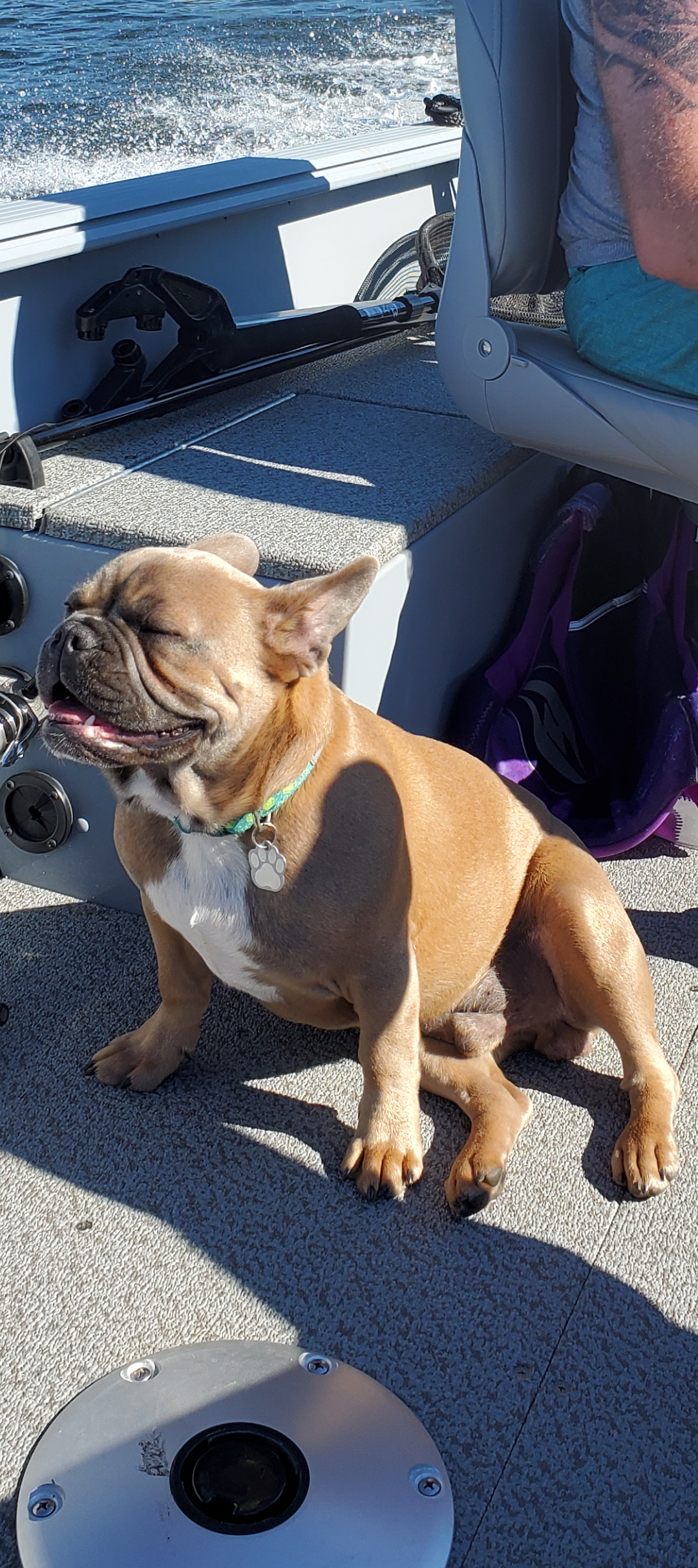 Otis (6).png