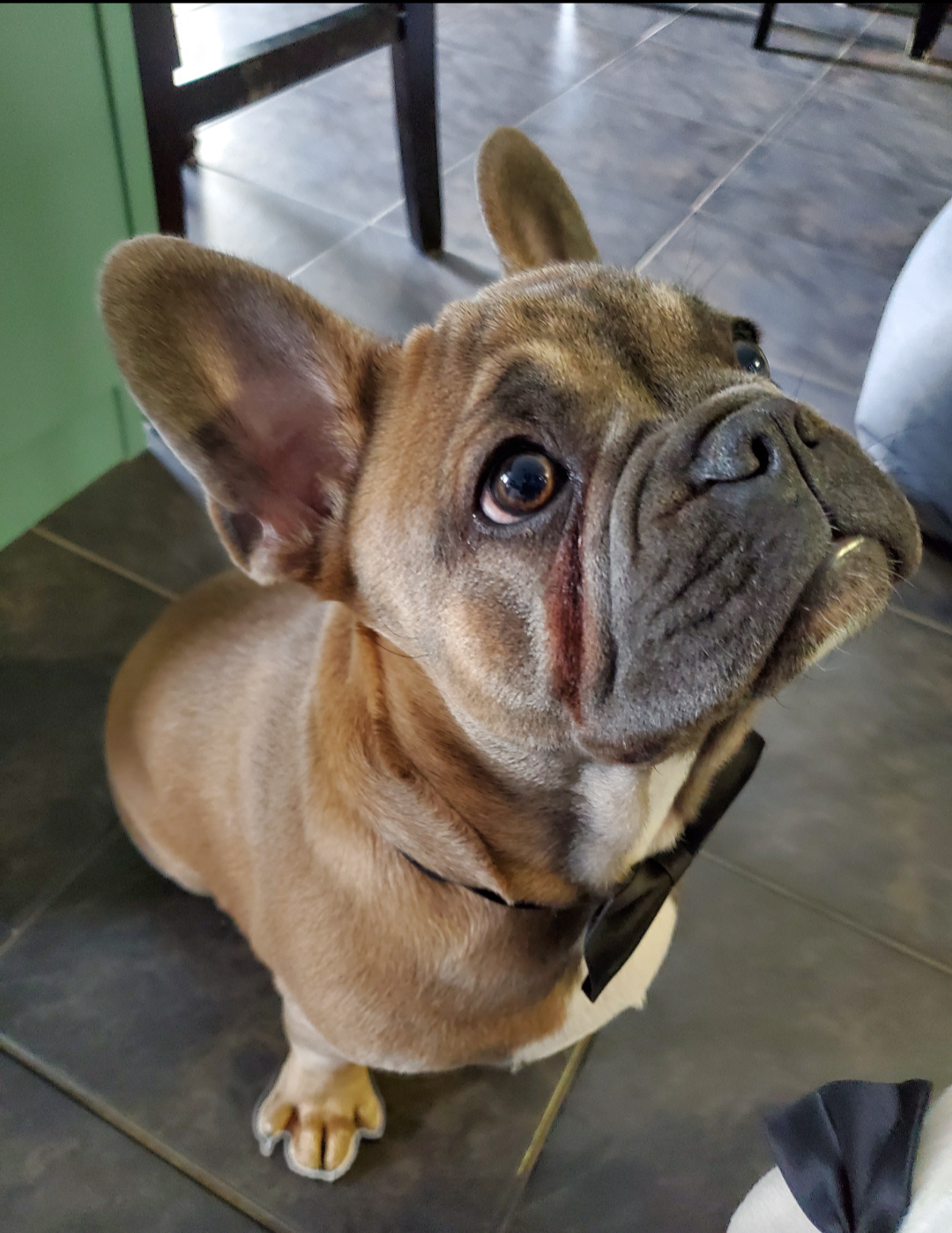 Otis (10).png