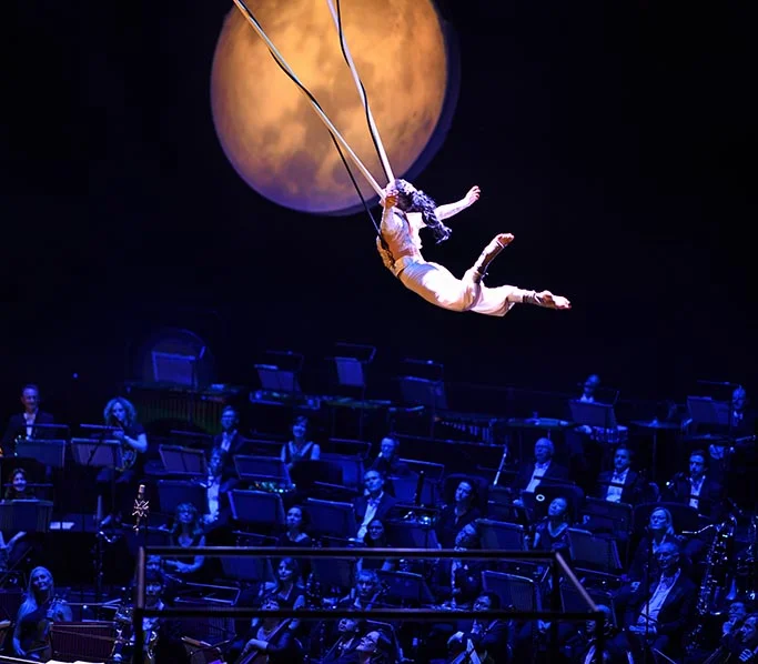 aPFM_2520_edited-1 smll.jpg