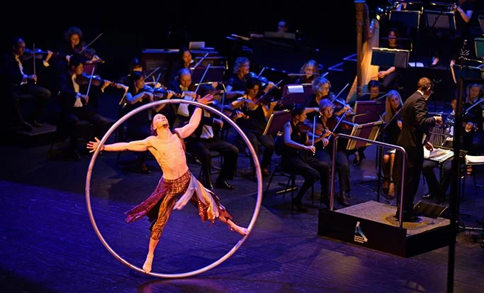 aPFM_2763_edited-1 smll.jpg