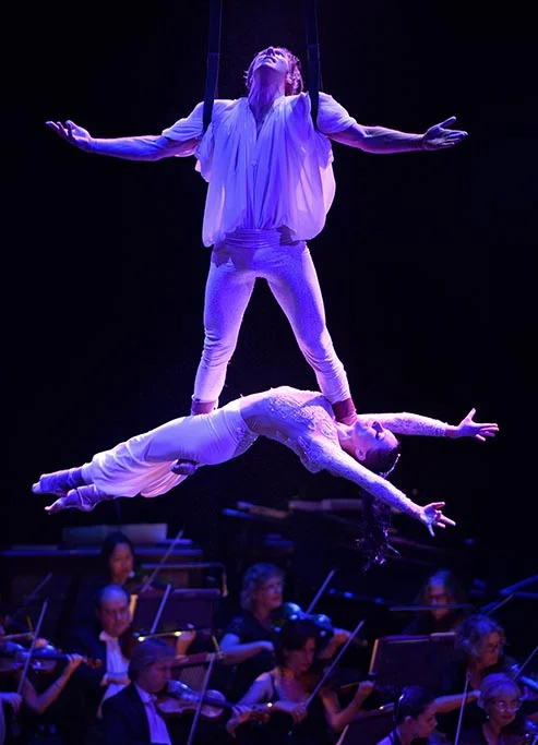 aPFM_3370_edited-1 smll.jpg