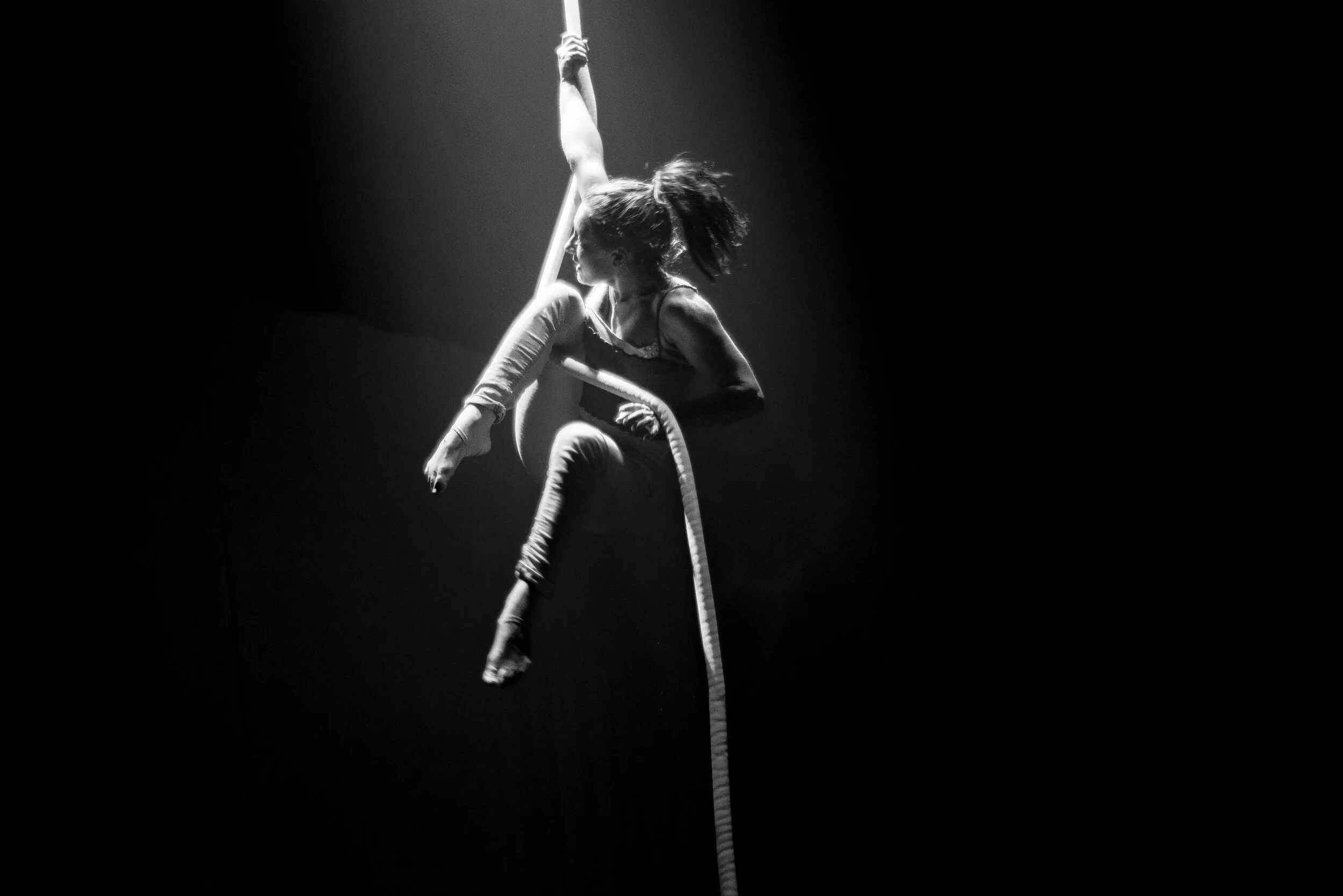  “…A full house, standing ovation and the most common word on everyone’s lips: Spectacular!”   Janet Whittington, Theatreview 