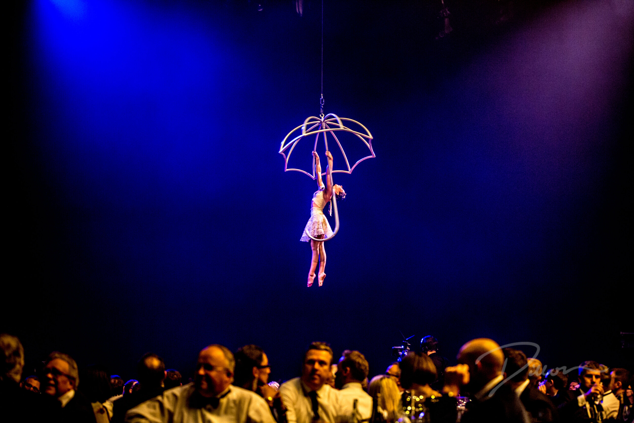 Dust Palace 3MB-6710(1).jpg