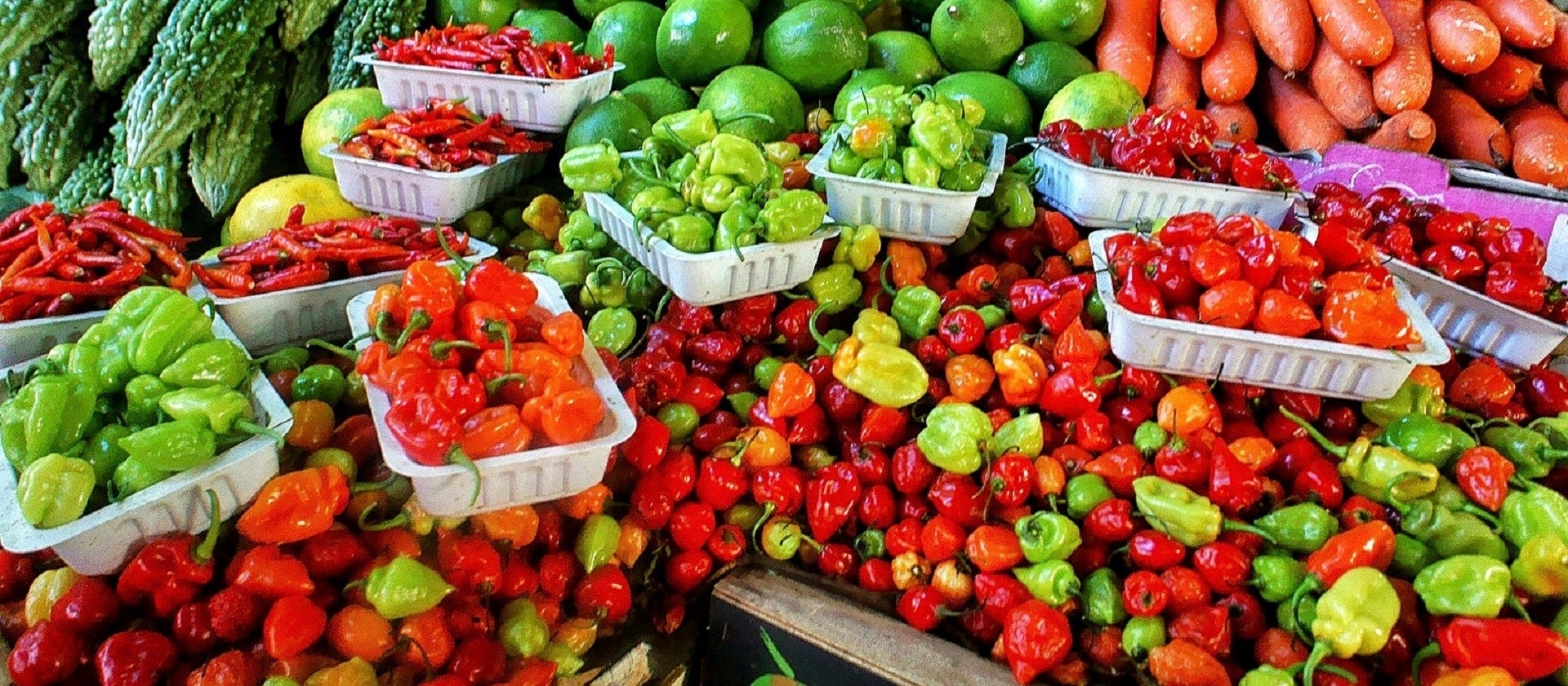 Scotch Bonnet Pepper A variety of chili pepper similar to (and of the same species as) habanero. Has a unique and slightly apricot-like flavor which is delightful assuming the tongue can discern it beyond the intense heat. It has the highest concentration of Capsaicin.