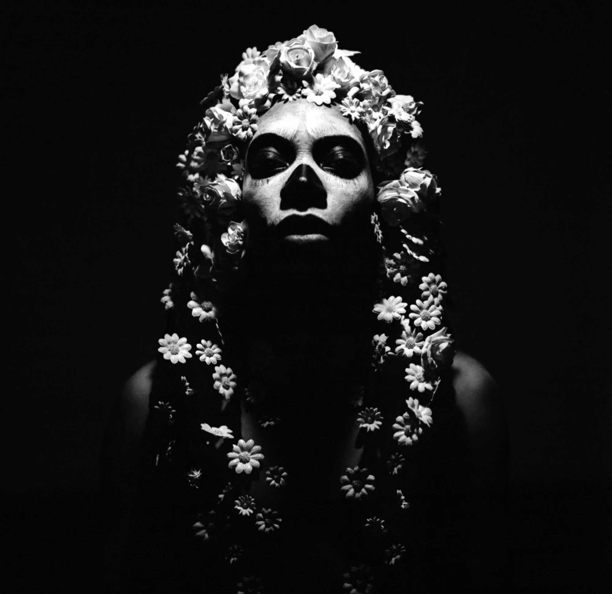 Lando Chill Cooperative Personal Project And Artist Promotion