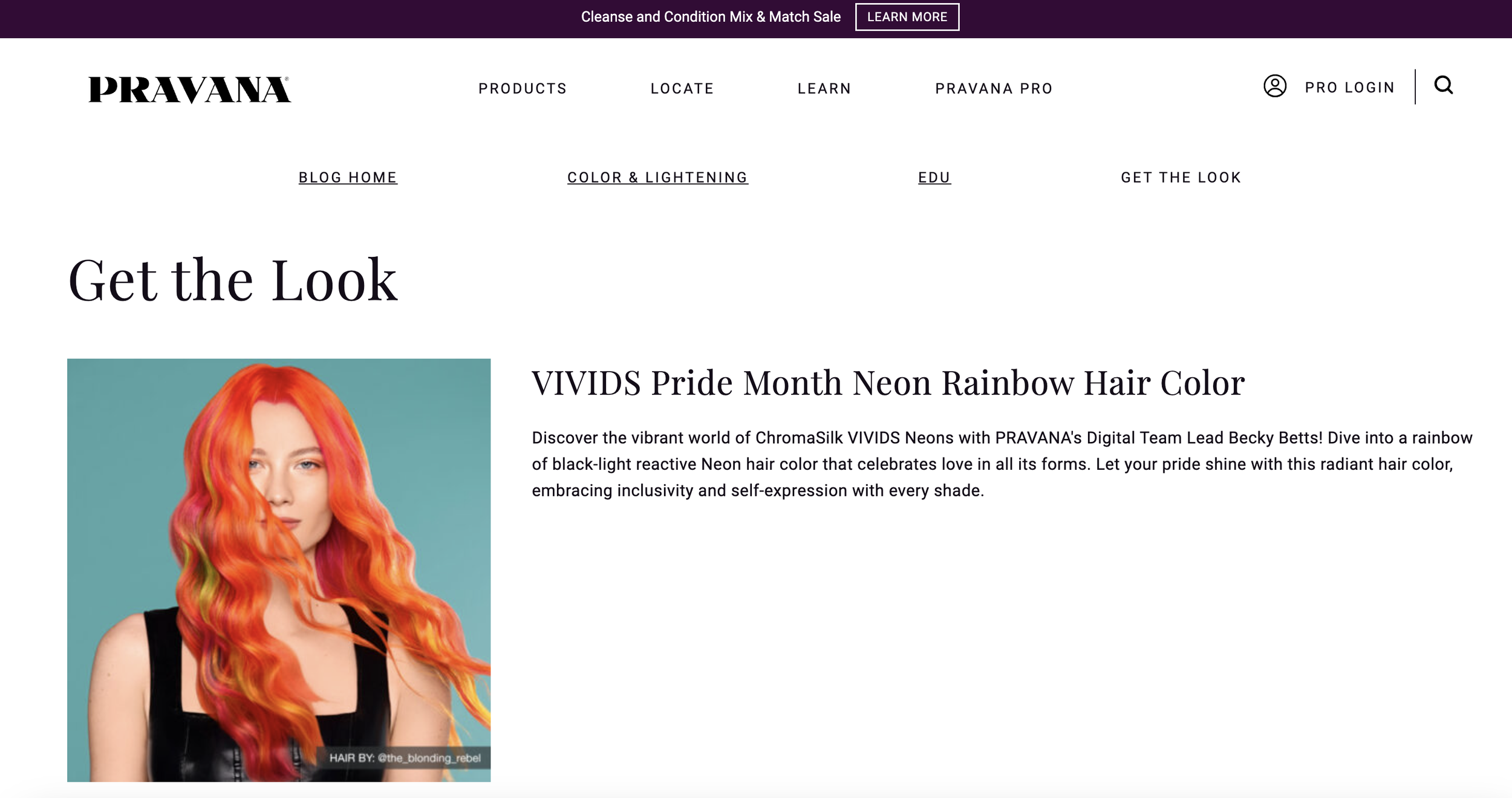 Pravana VIVIDS Pride Month Rainbow Neon Commercial Hair Photography