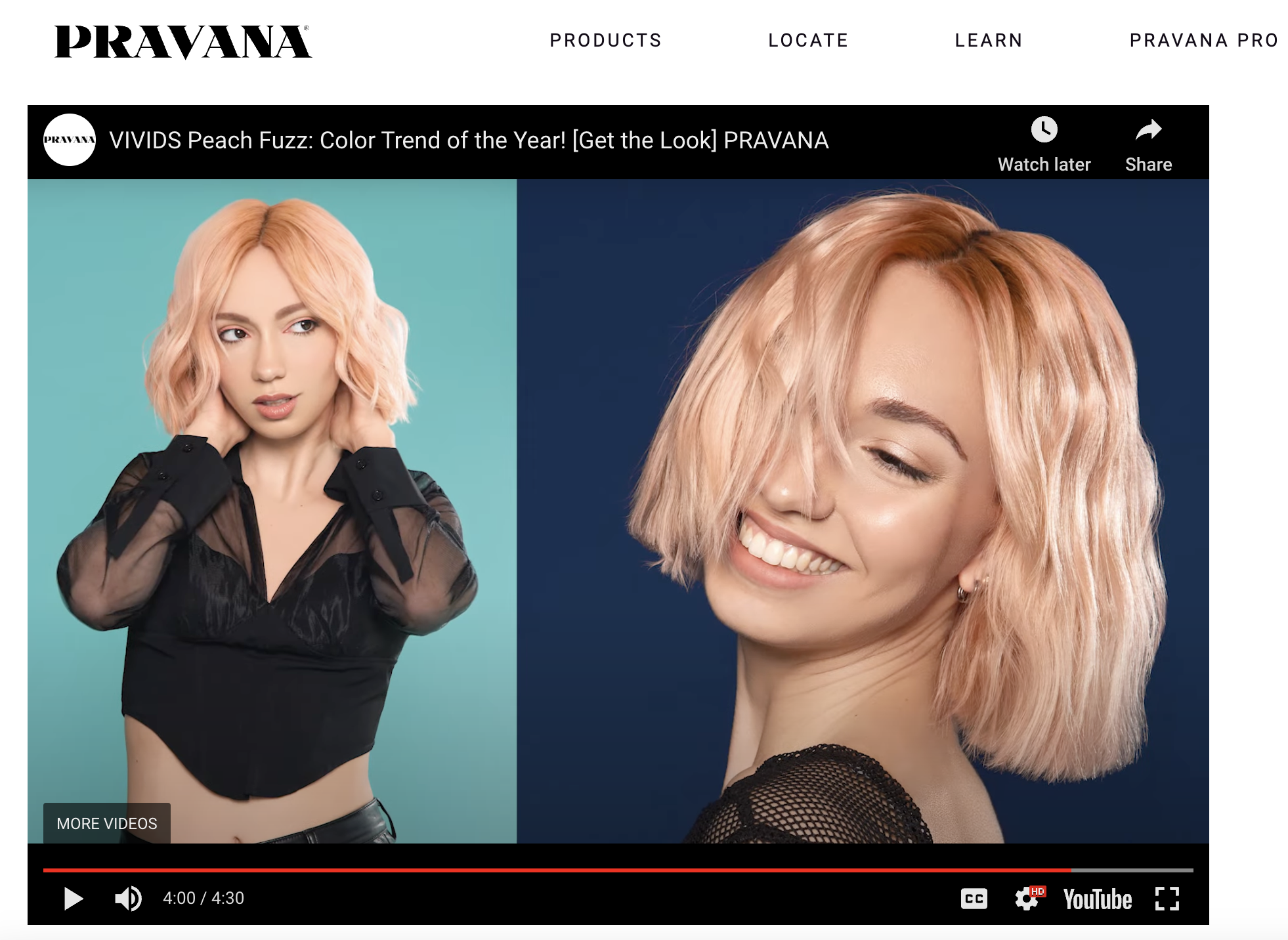 Pravana Commercial Editorial Beauty Photos for Pravana Color of the Year Shot by Vico Velez Photographer