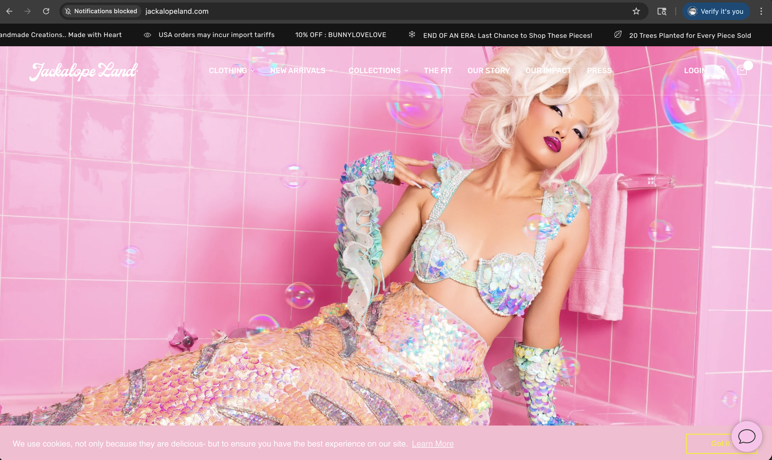 Screenshot 2026-03-10 at 10.30.14 PM.png