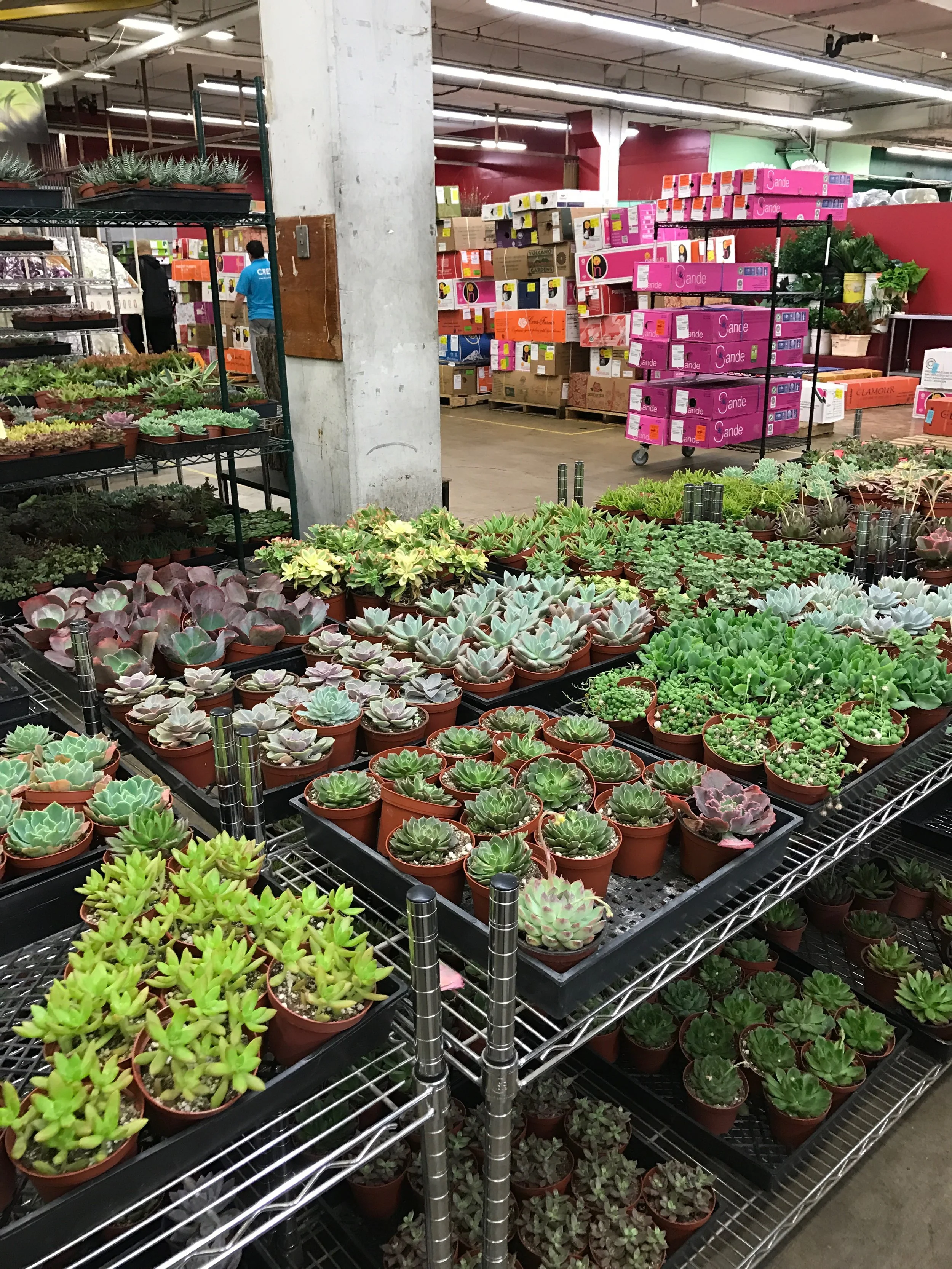 Visiting LA Flower Market