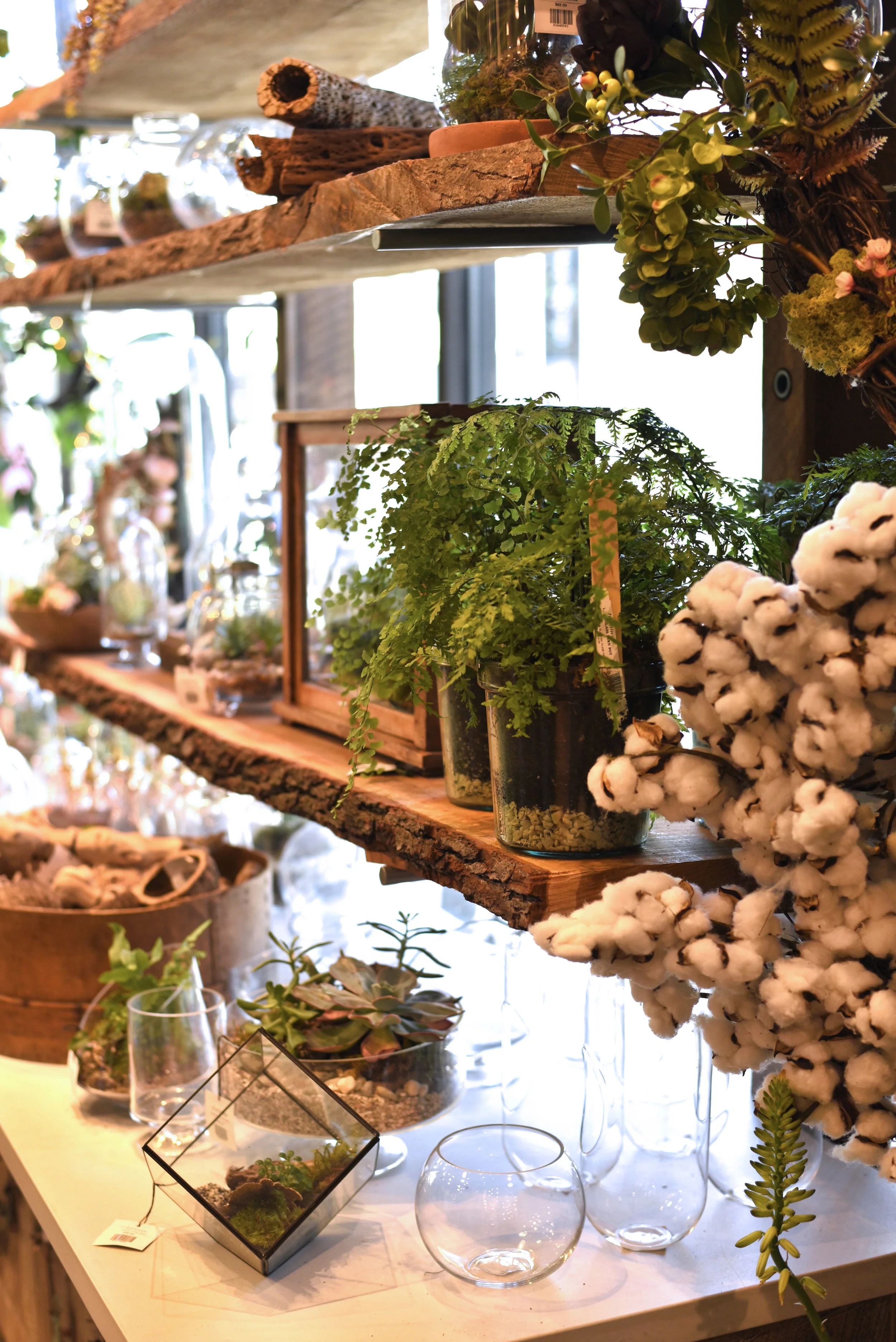 Anthropologie Terrain