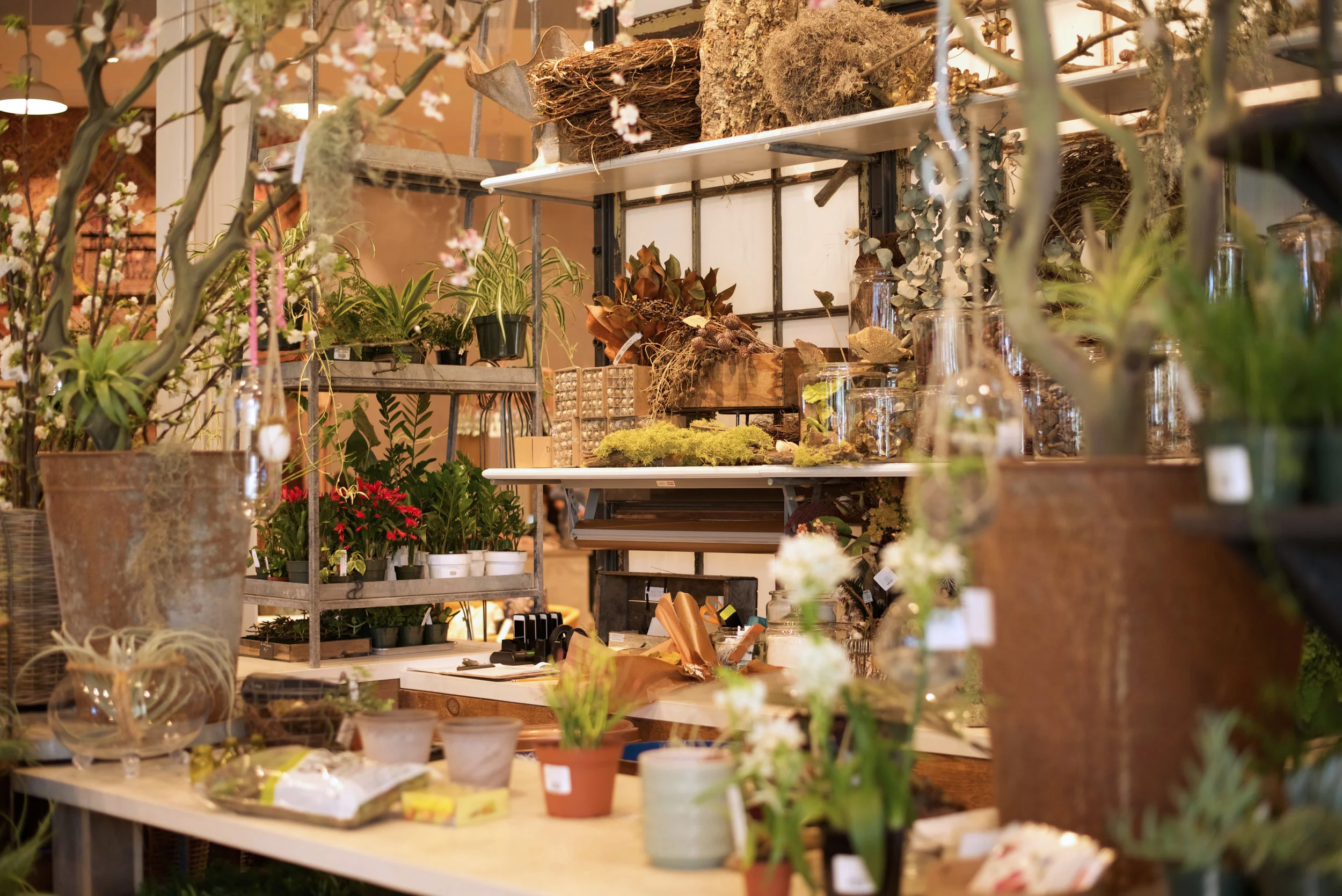 Anthropologie Terrain