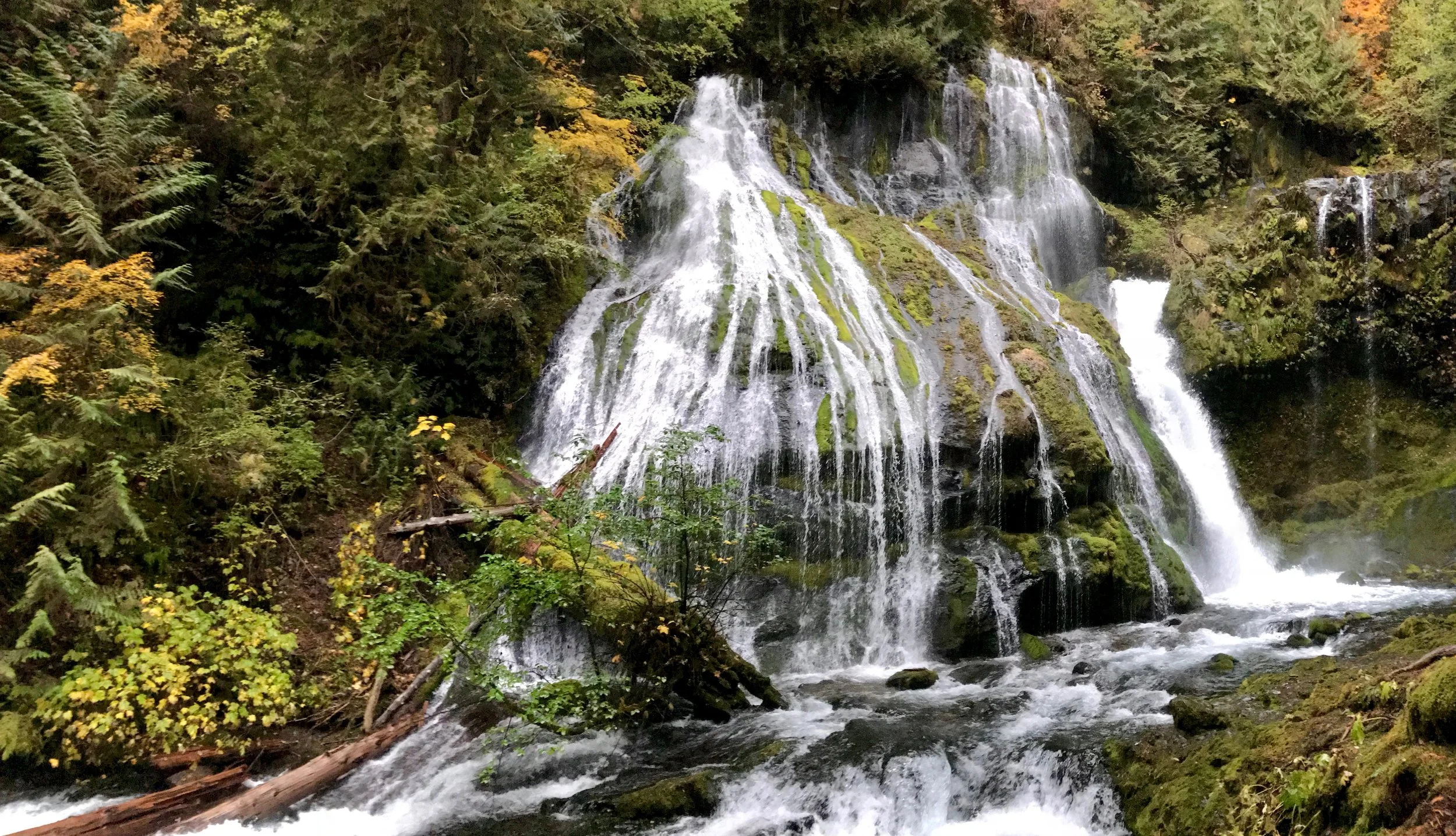 Panther Creek Falls- we ended up scaling rocks and going down a 10 foot drop to get to the base of the falls.