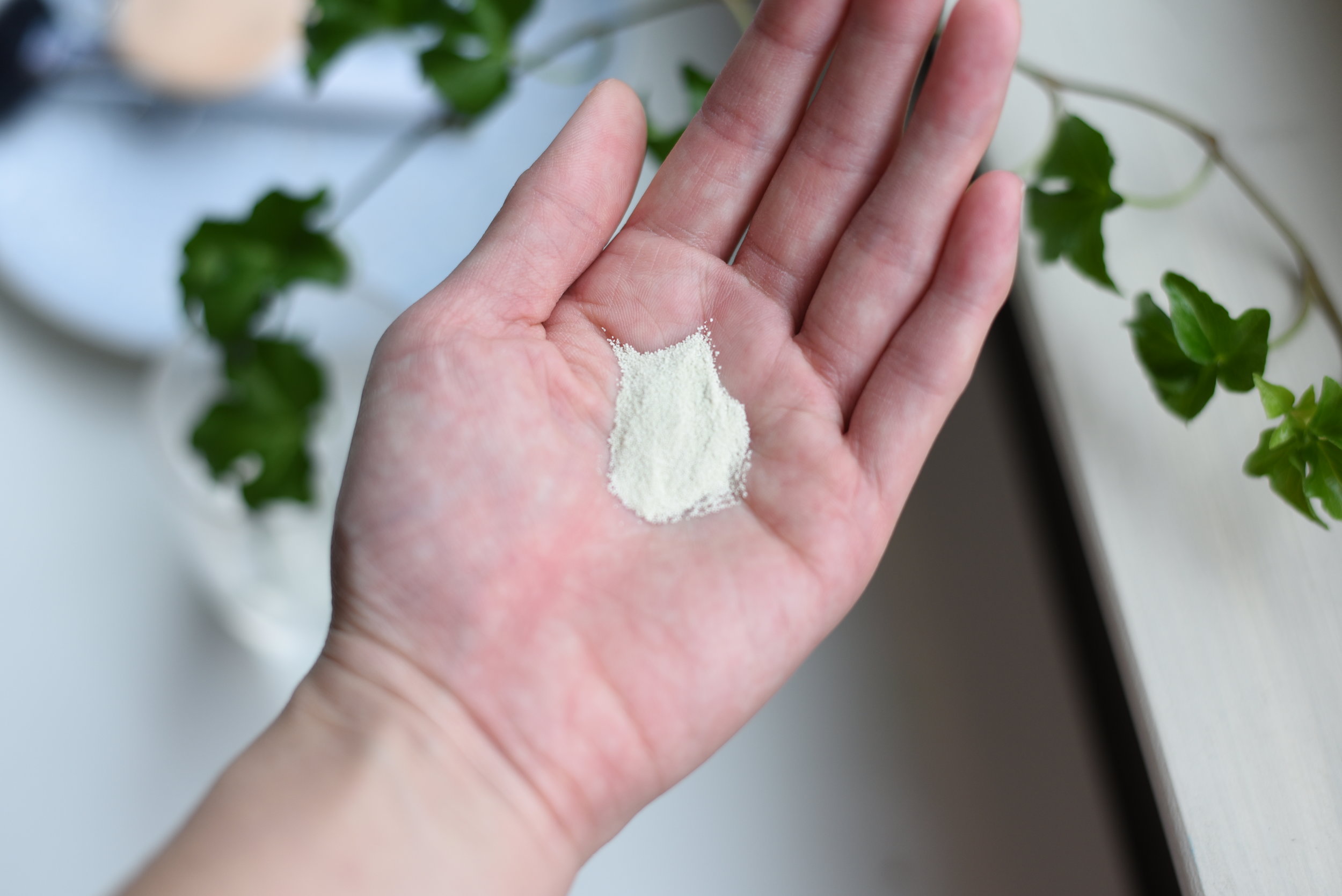 BYWISHTREND GREEN TEA & ENZYME POWDER WASH REVIEW_DSC_0223.jpg