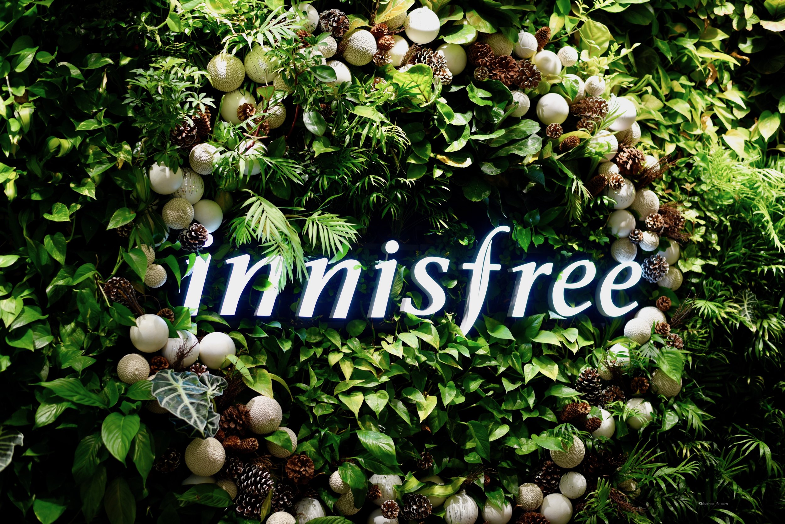 Instagram Korea Innisfree Cafe_DSC_0788.jpg