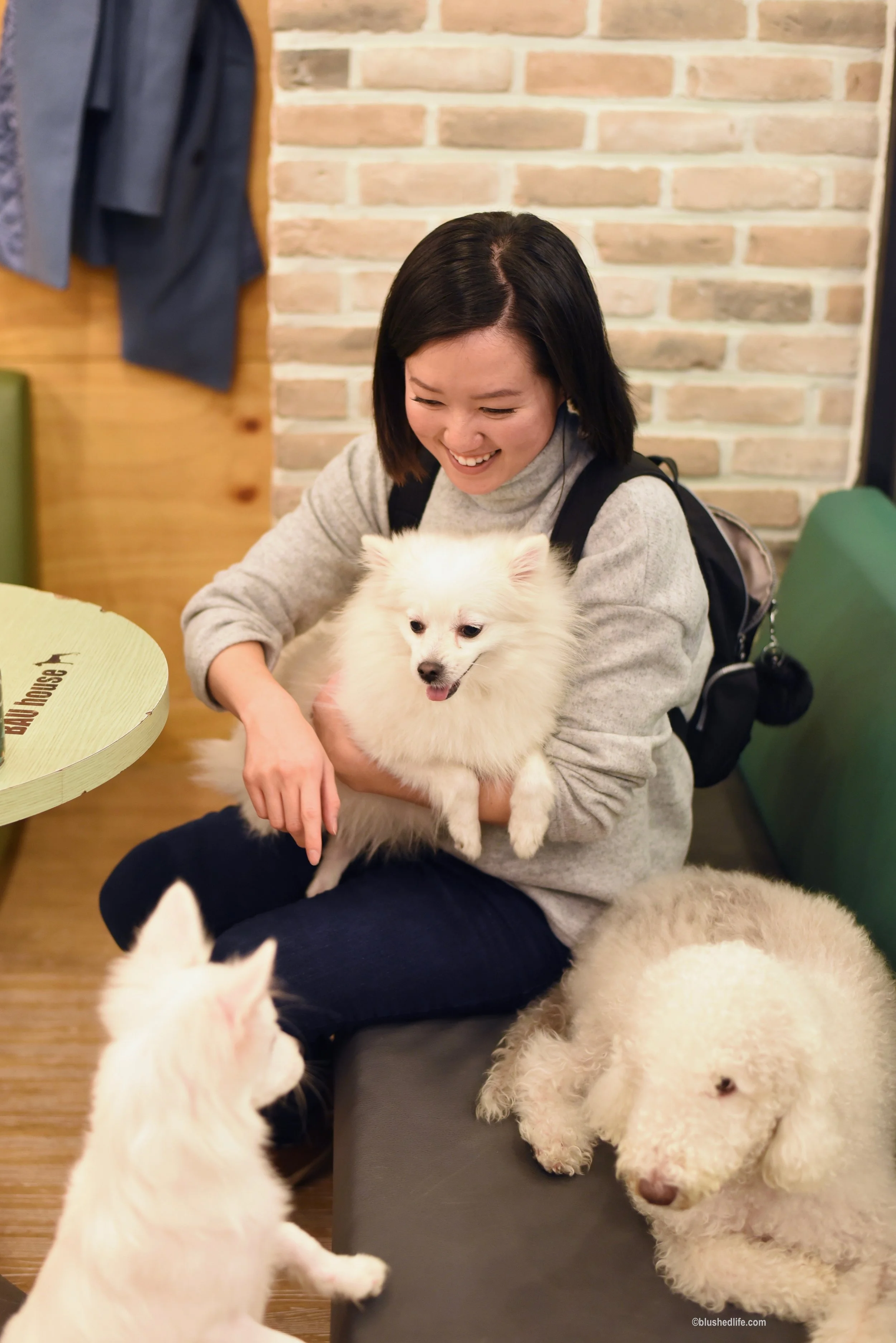 Instagram Korea Dog Cafe Bauhouse_DSC_1098.jpg