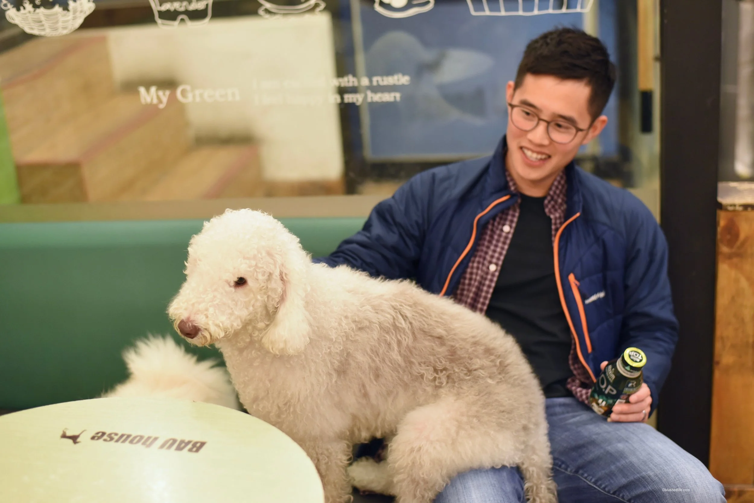Instagram Korea Dog Cafe Bauhouse_DSC_1093.jpg
