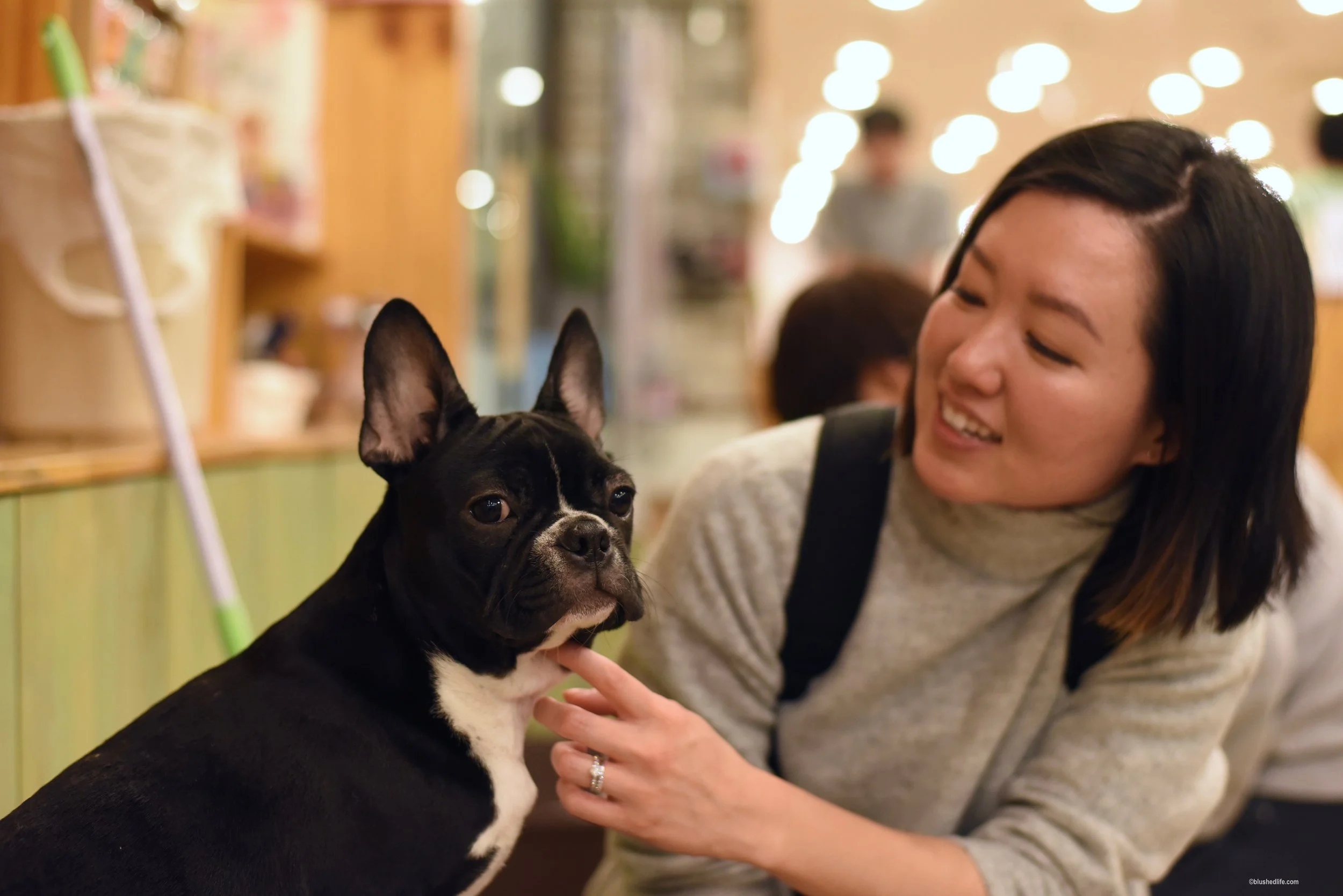 Instagram Korea Dog Cafe Bauhouse_DSC_1115.jpg