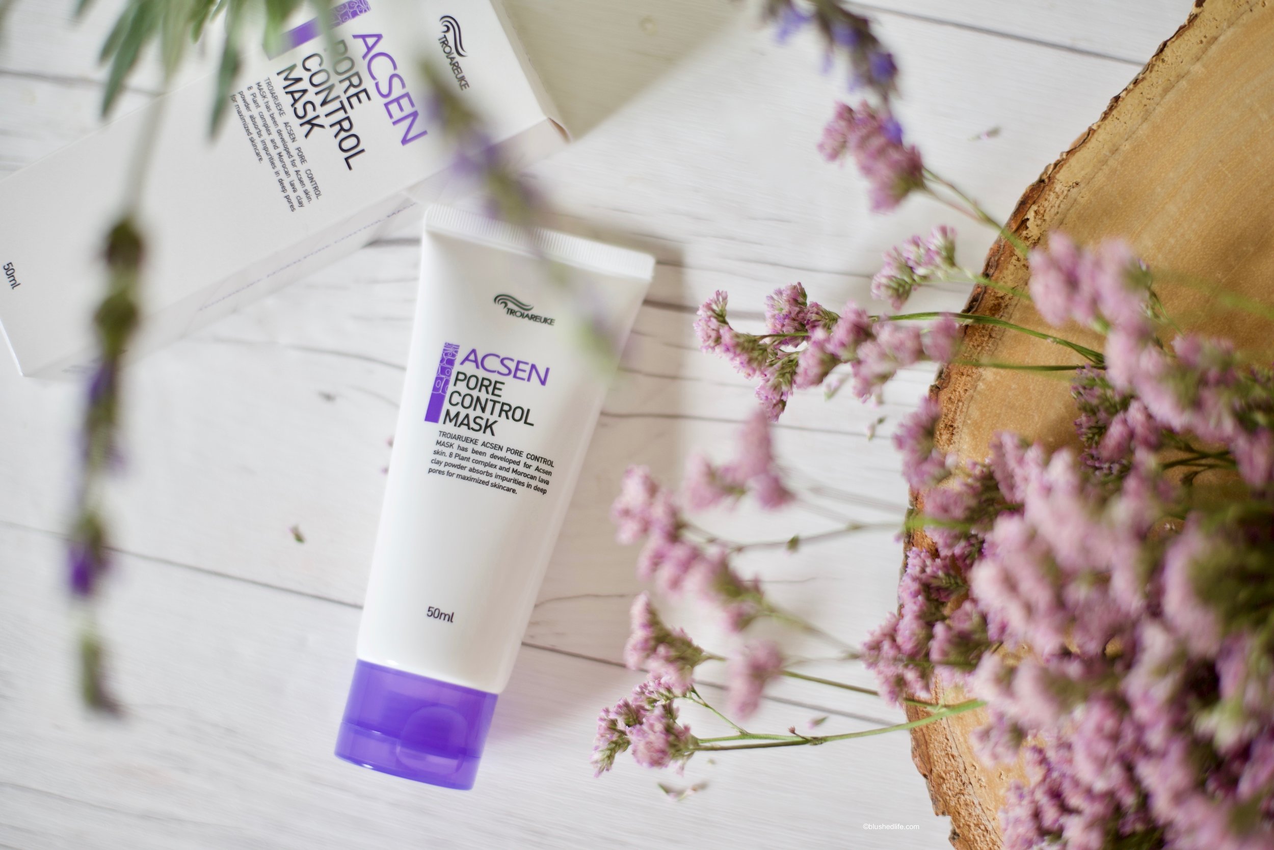 Troiareuke Acsen Pore Control Mask Review_DSC_3348.jpg