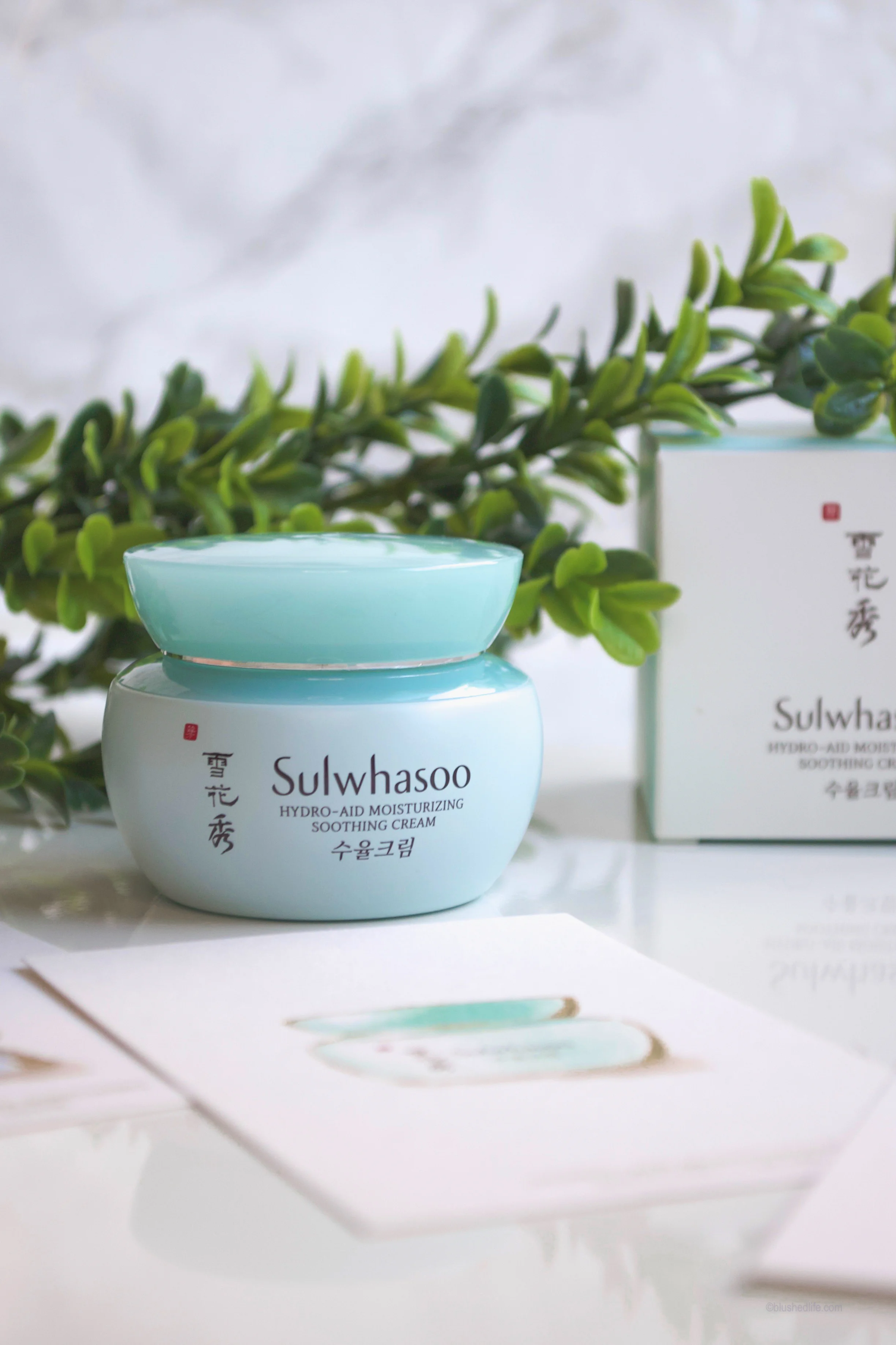 best moisturizer 2019