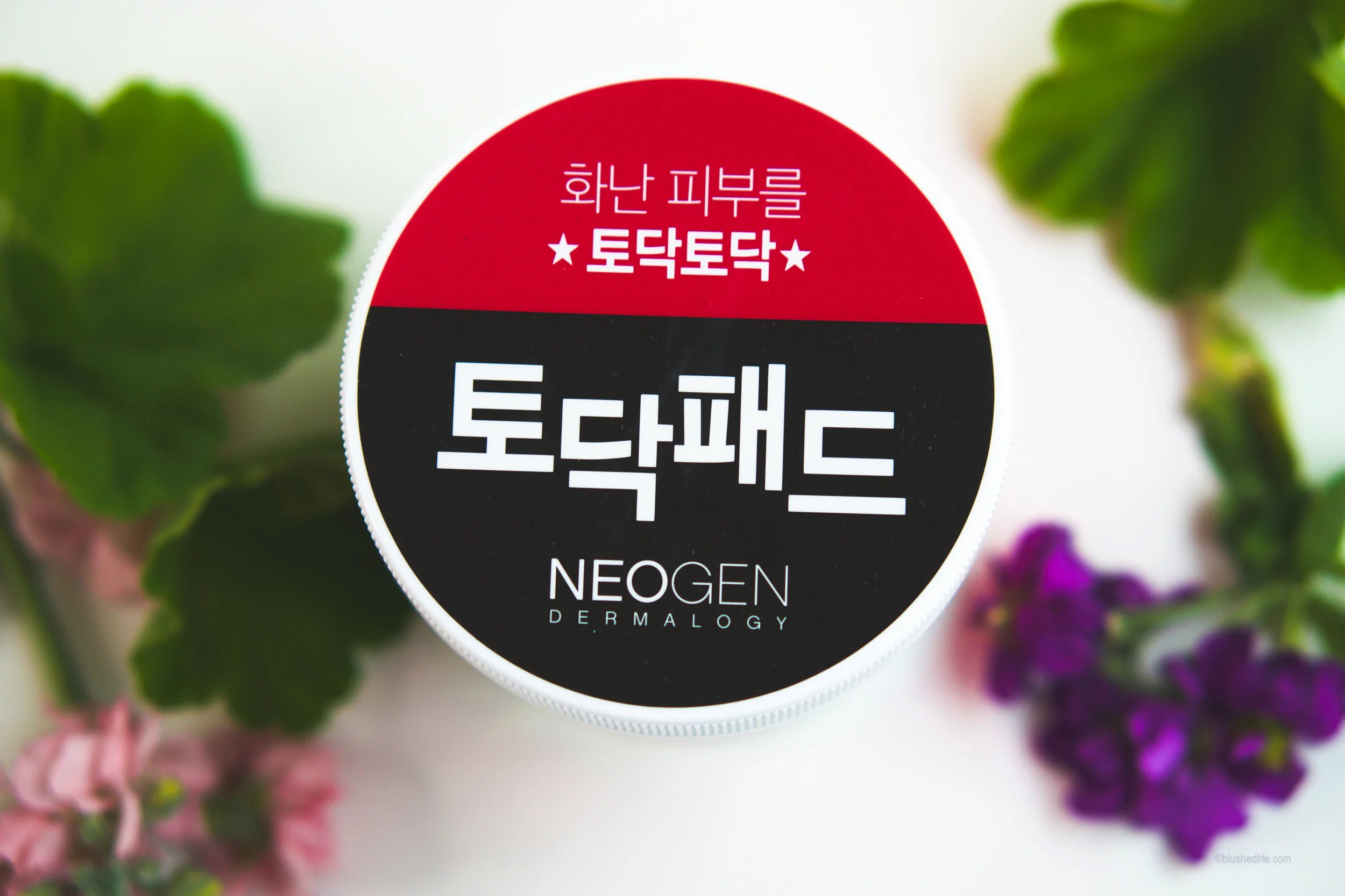 Neogen Real Cica Pad Review Comparison-07449.jpg