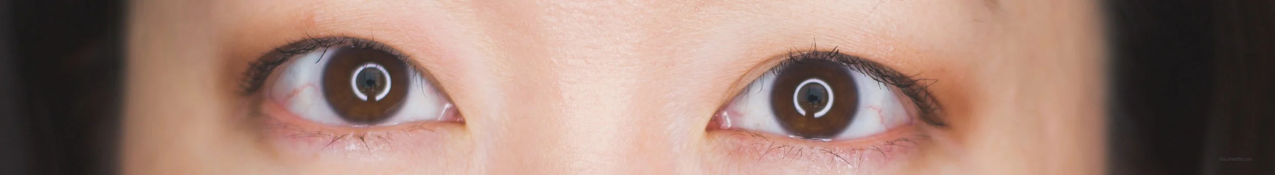 flow fushi mote mascara technical 3 review_DSC_4933-2.jpg