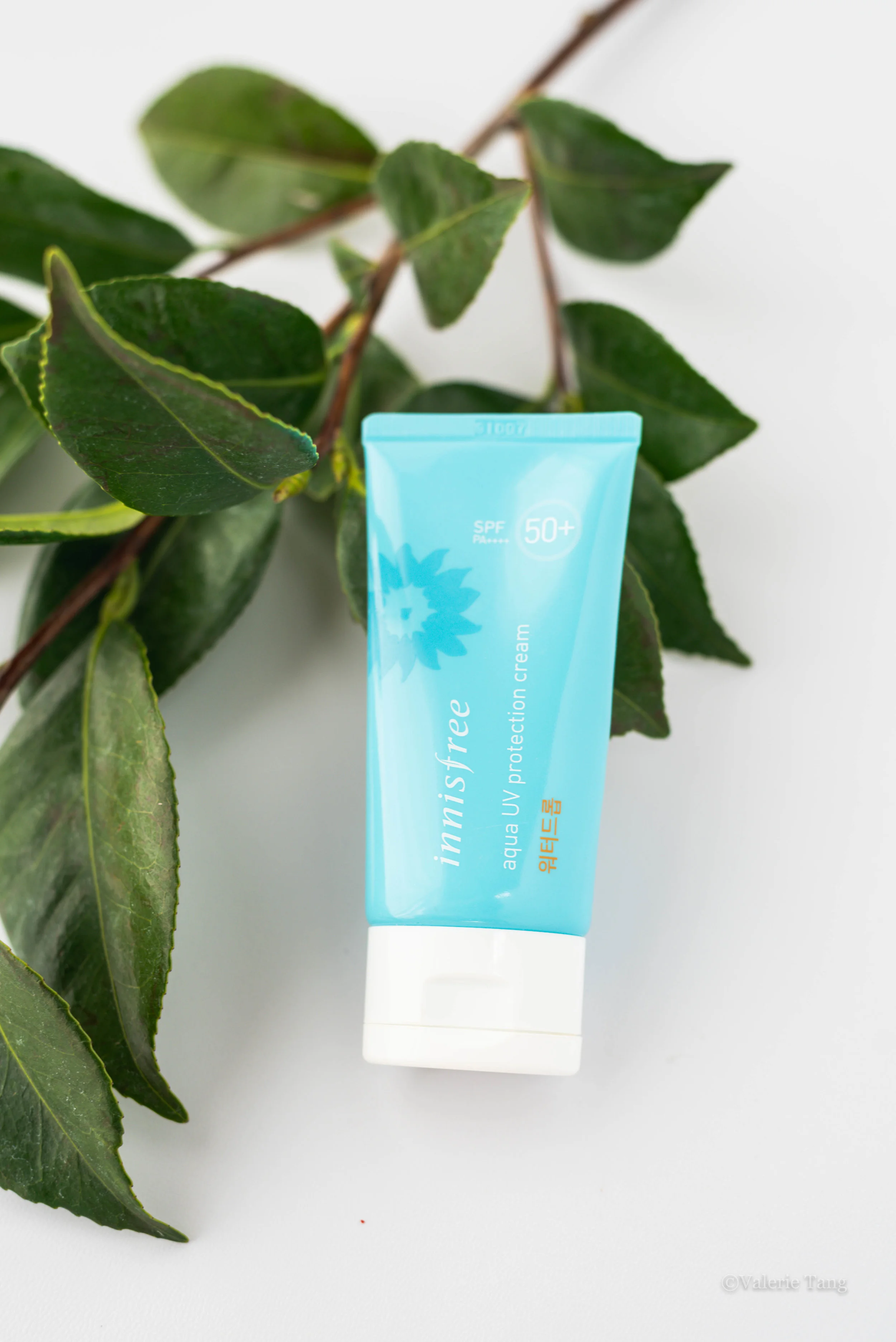 innisfree water based moisturizer