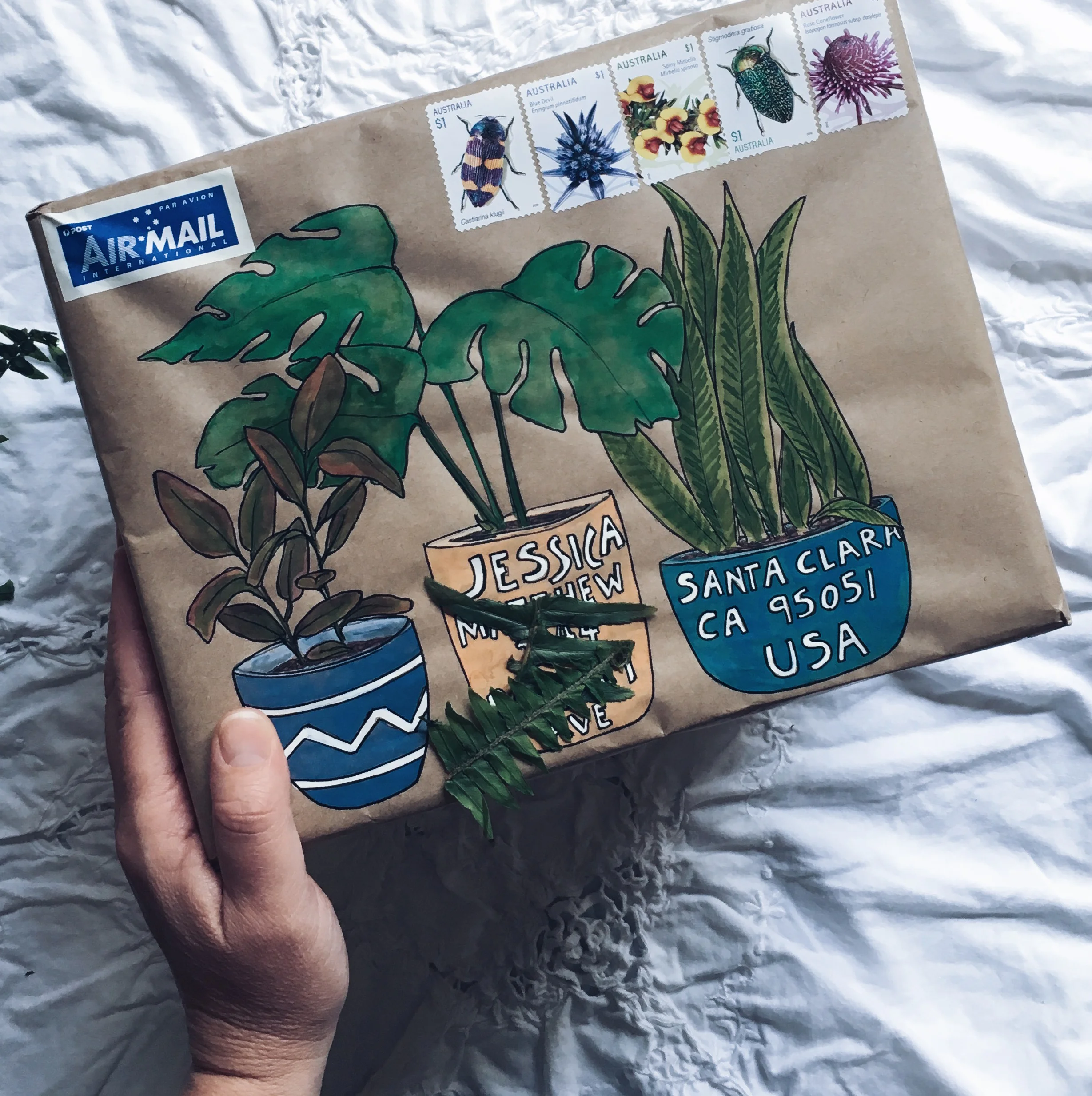 pot plants.jpg