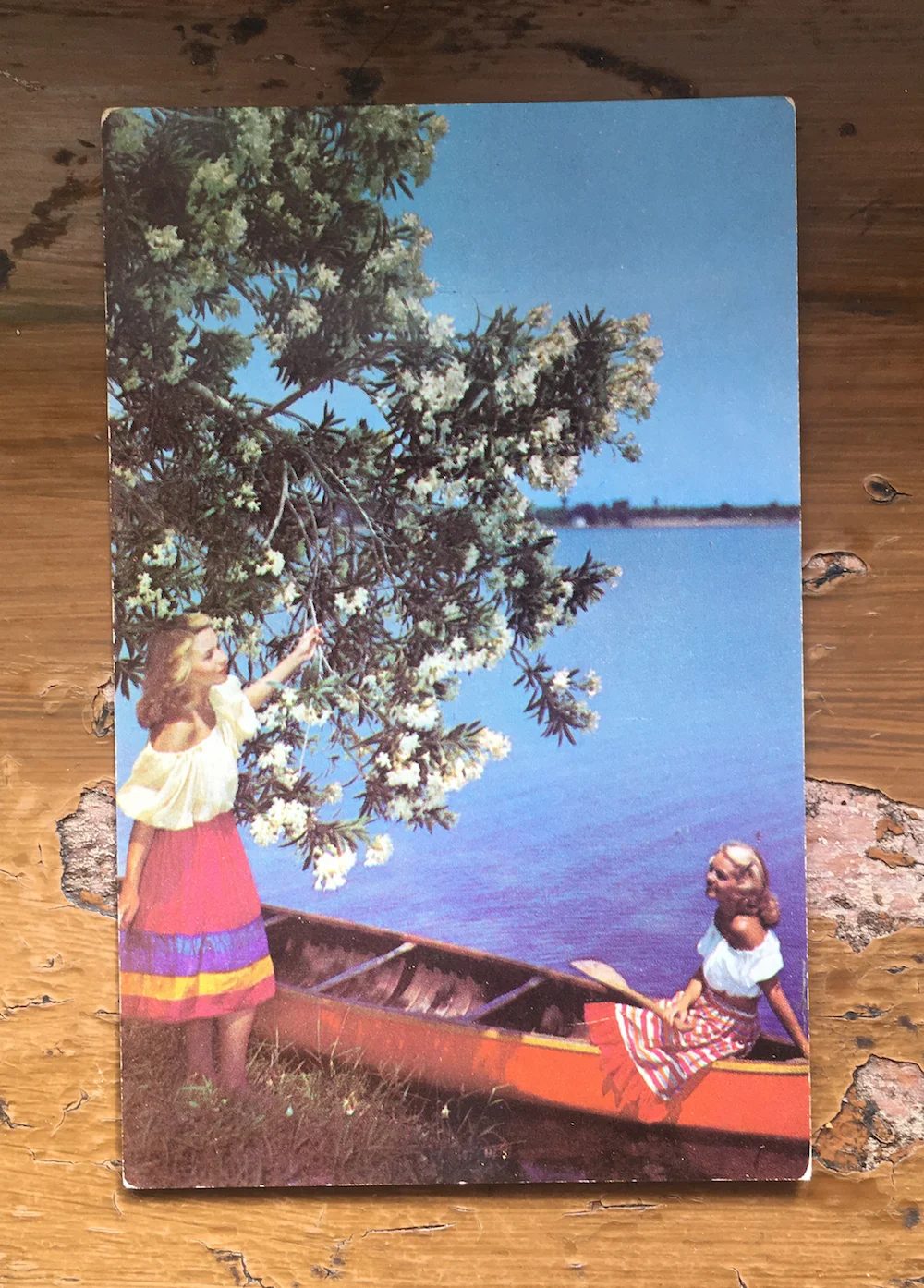 vintage-postcard-canoe
