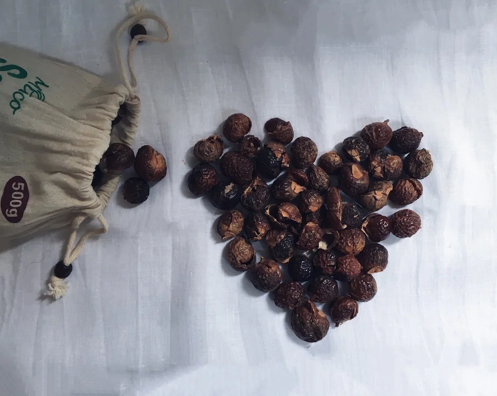soapnuts-3.jpeg
