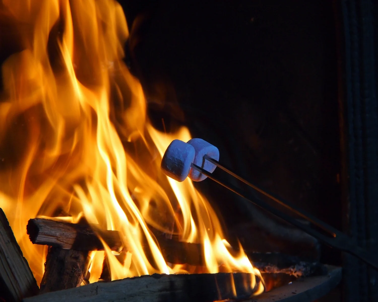 camping-marshmallow.jpg