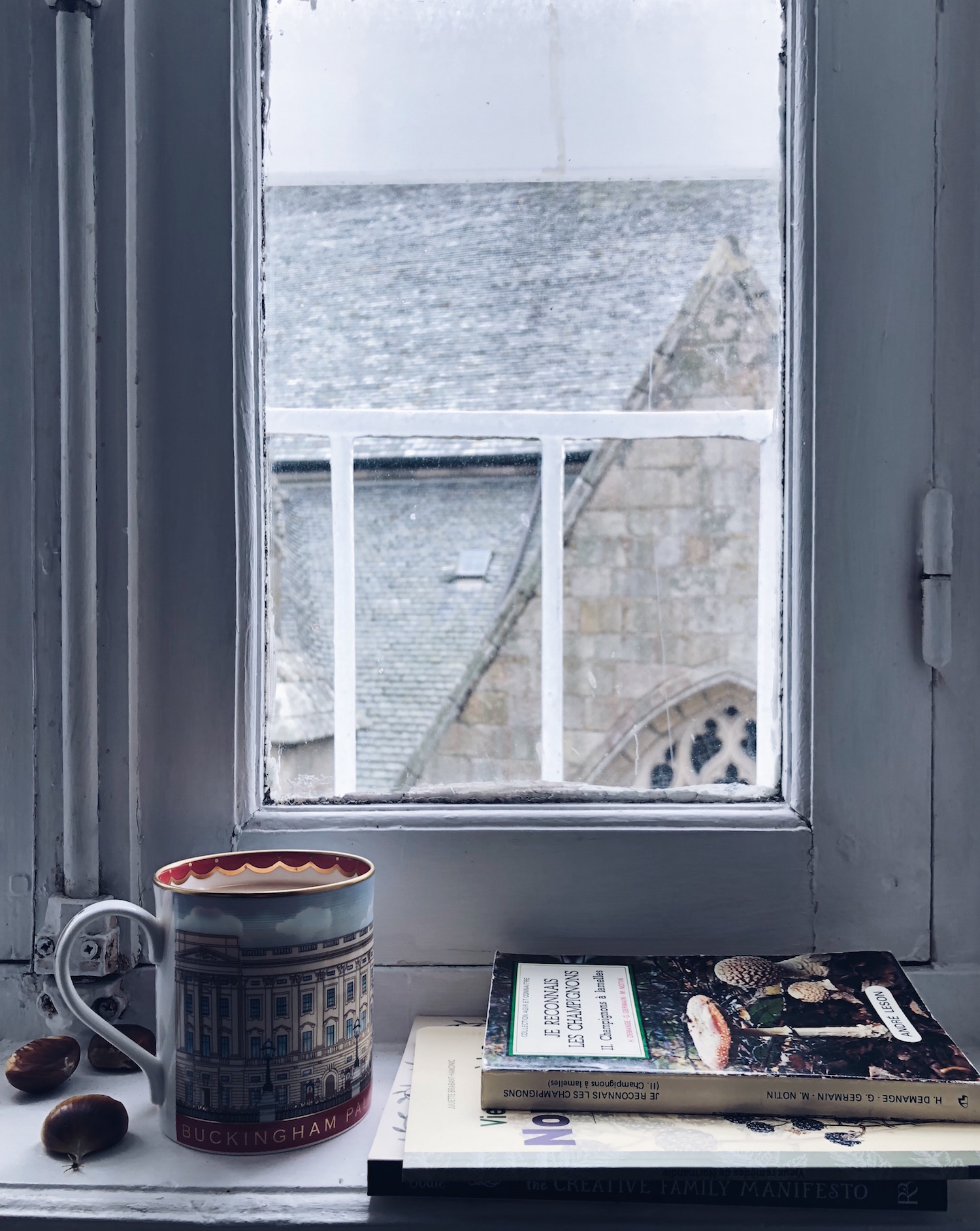 books window.jpeg