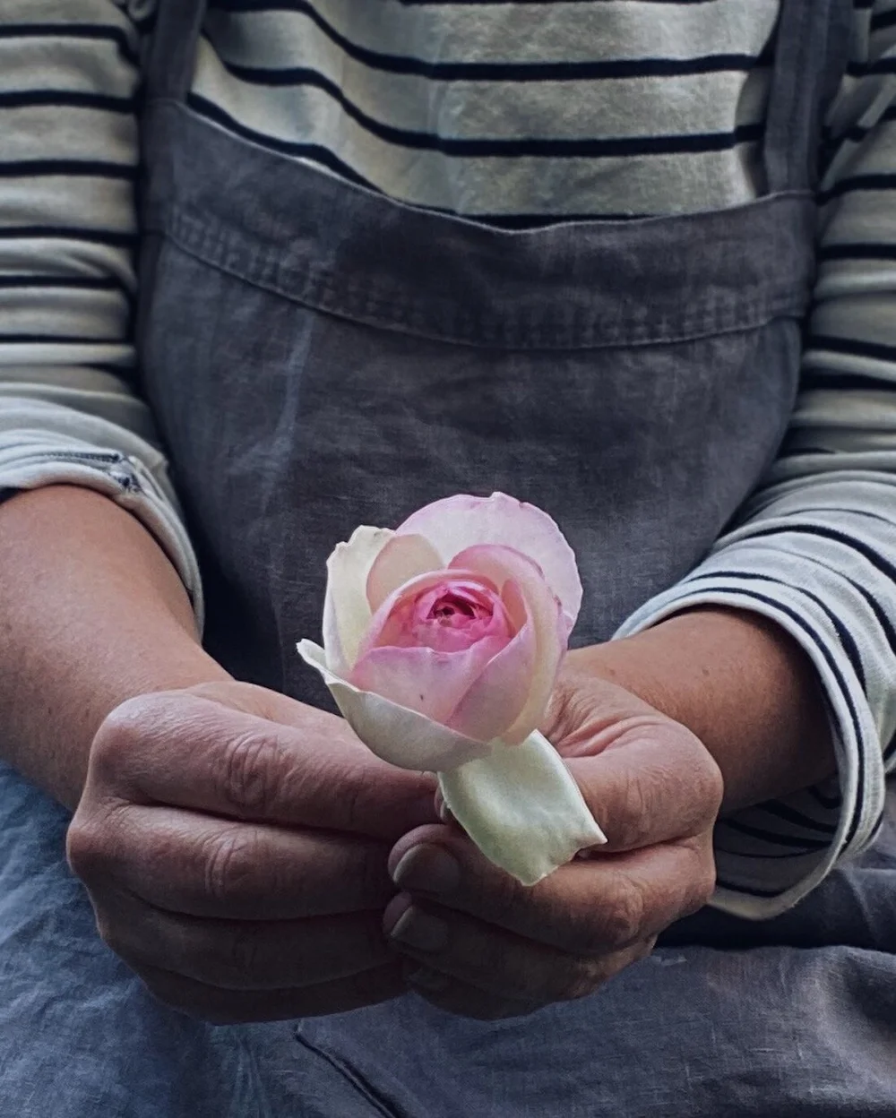 parenting — Journal — Naomi Loves