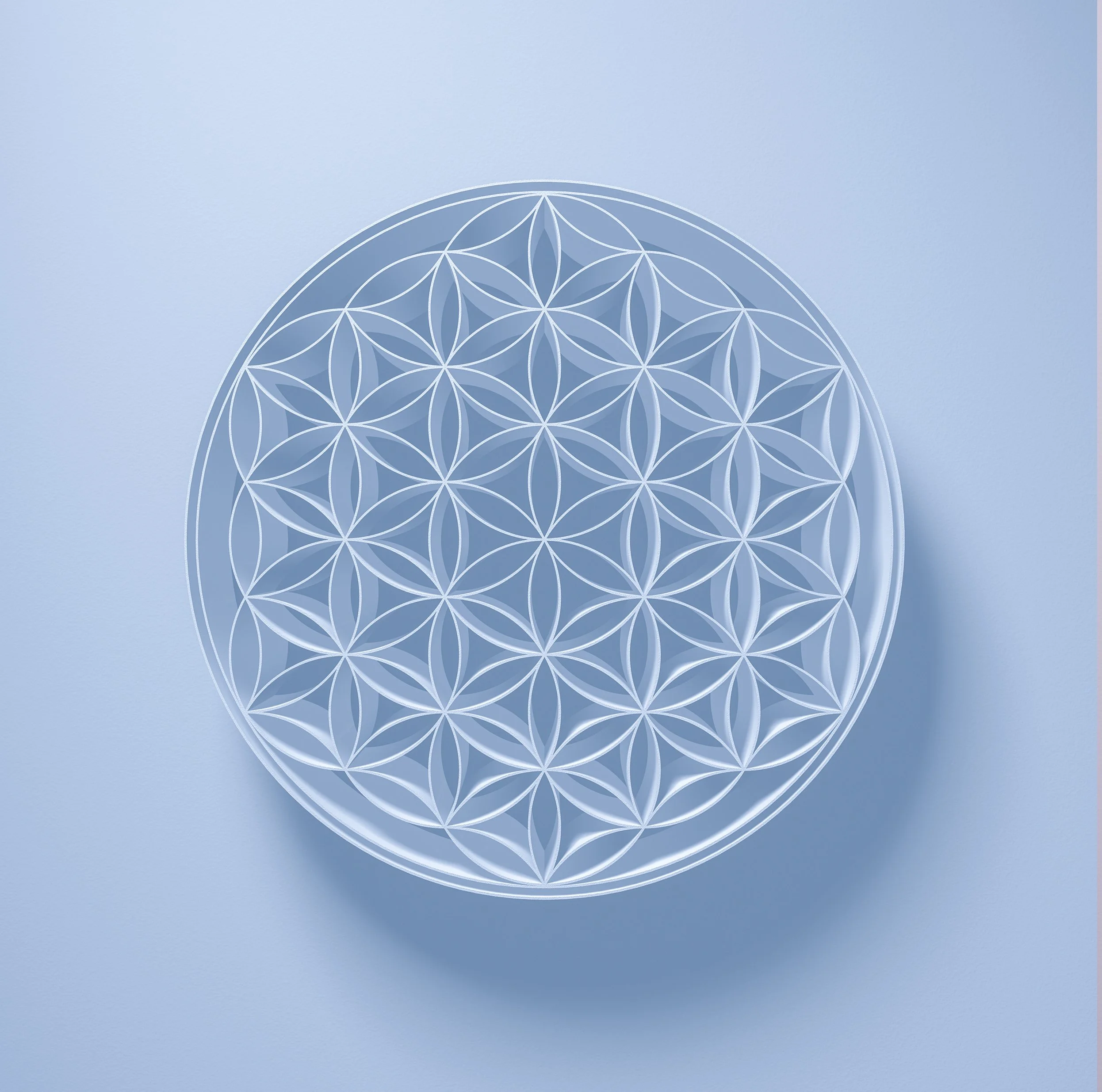 flower of life  blue.jpeg