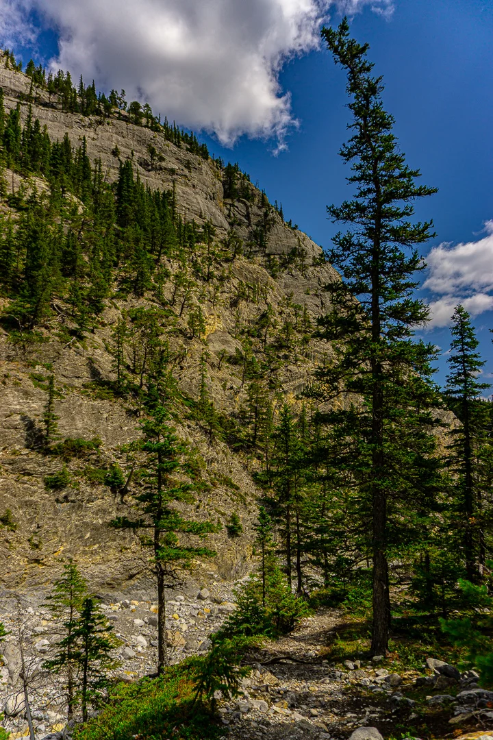 _DSC8250.jpg