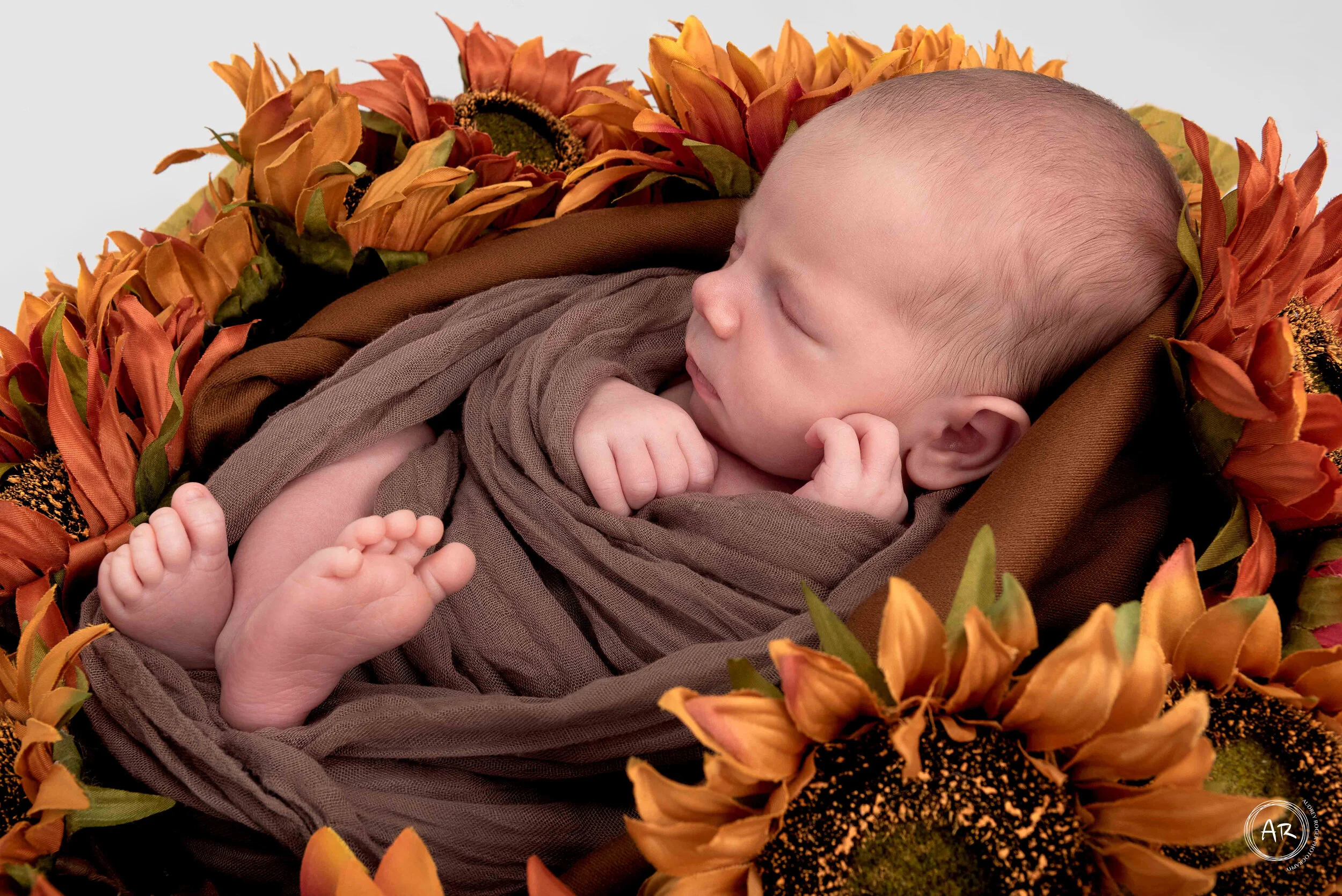 Nyfødtfotografering (9877)